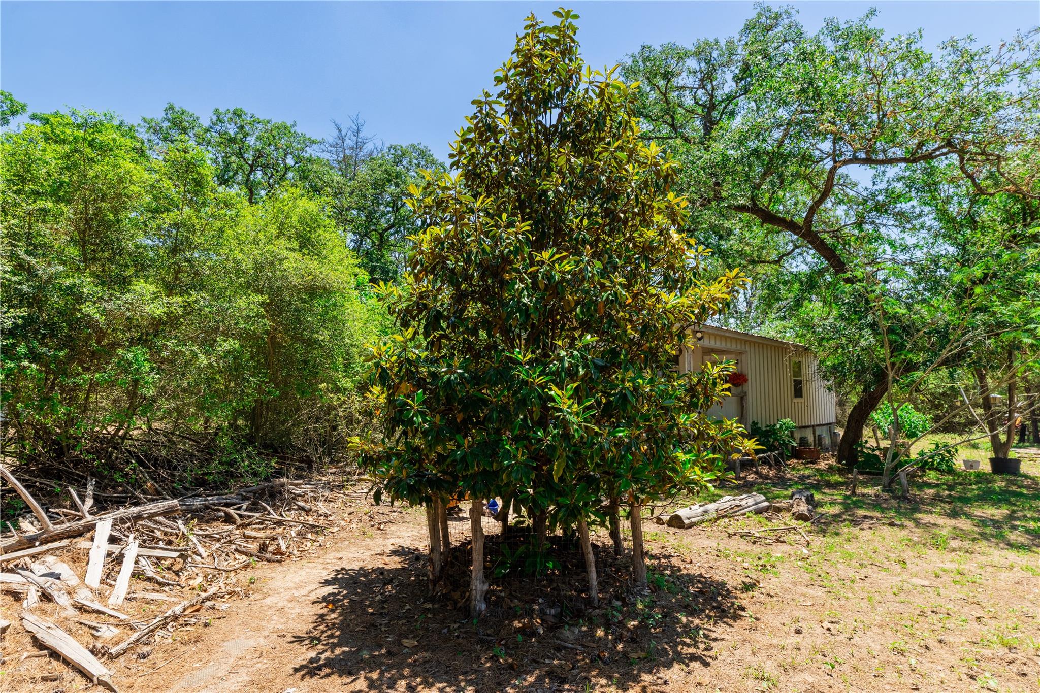 224 Pine Valley Dr, Paige, TX 78659