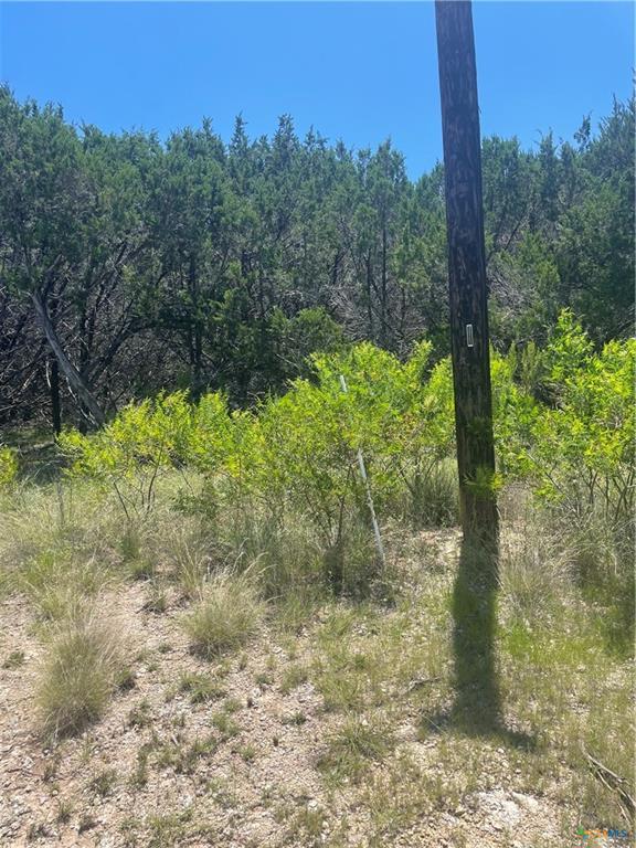 Lot 65 Estate View Circle, Lampasas, TX 76550