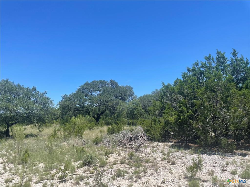 Lot 65 Estate View Circle, Lampasas, TX 76550