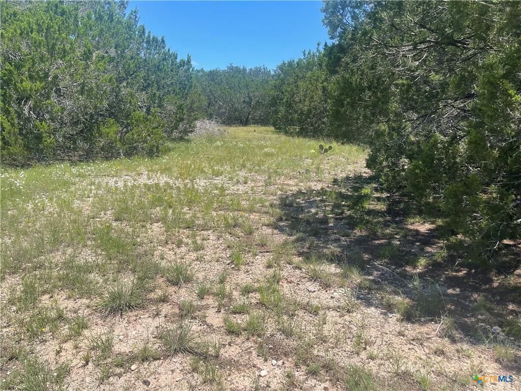 Lot 65 Estate View Circle, Lampasas, TX 76550