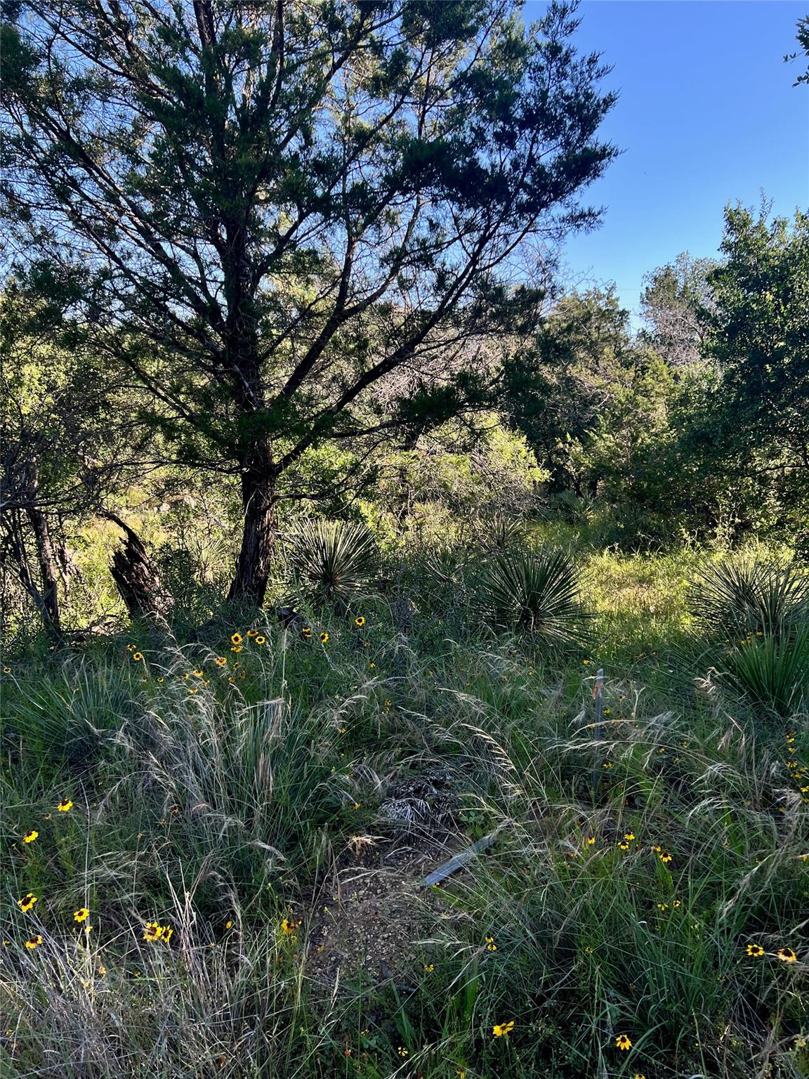 TBD Castlelake Dr, Granite Shoals, TX 78654