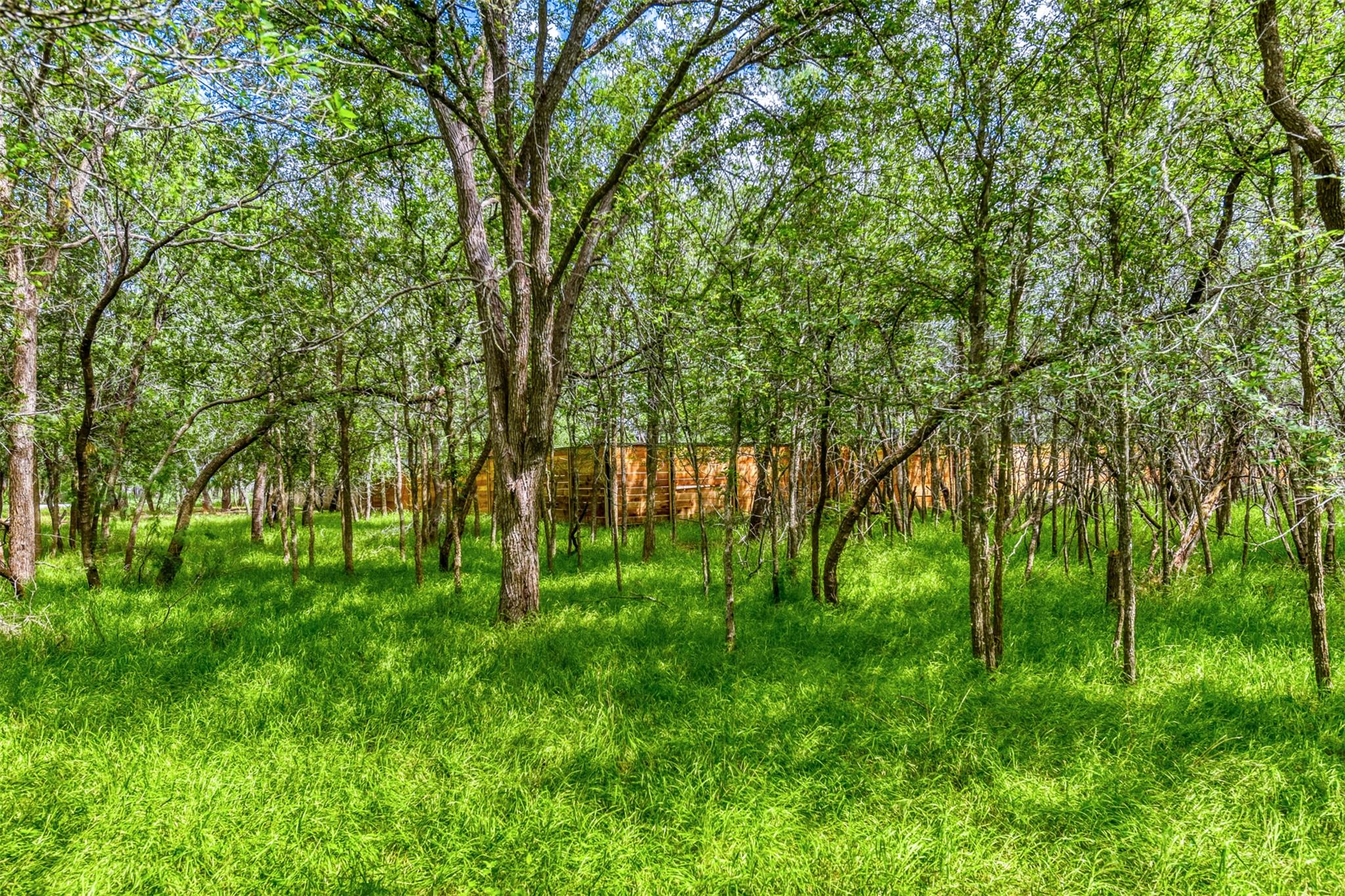 115 Mokulua Ln, Bastrop, TX 78602