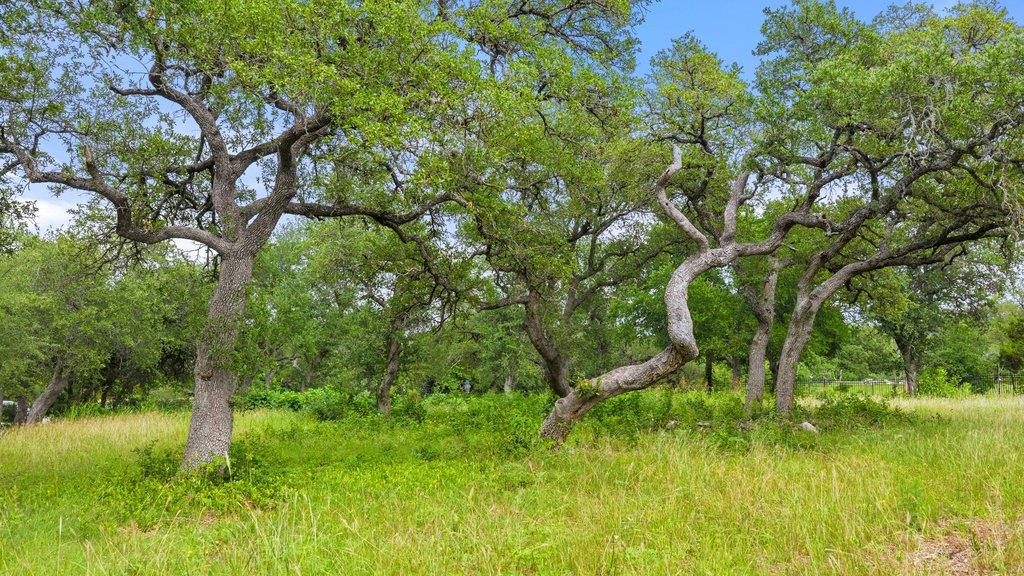 11002 Foundation Rd, Austin, TX 78726