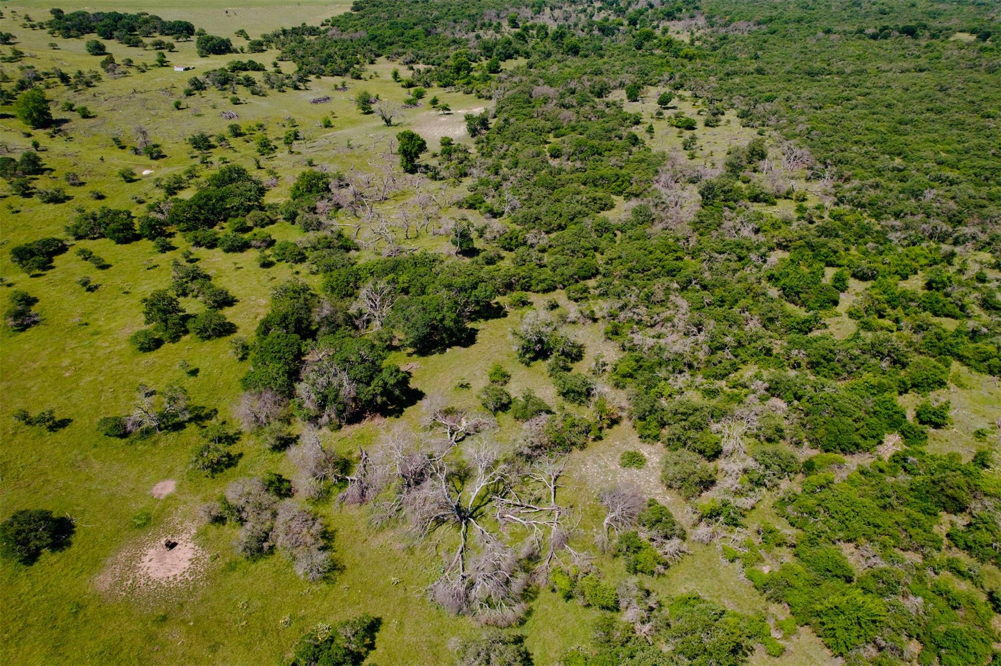9 N Hcr 624 Rd, Goldthwaite, TX 76844