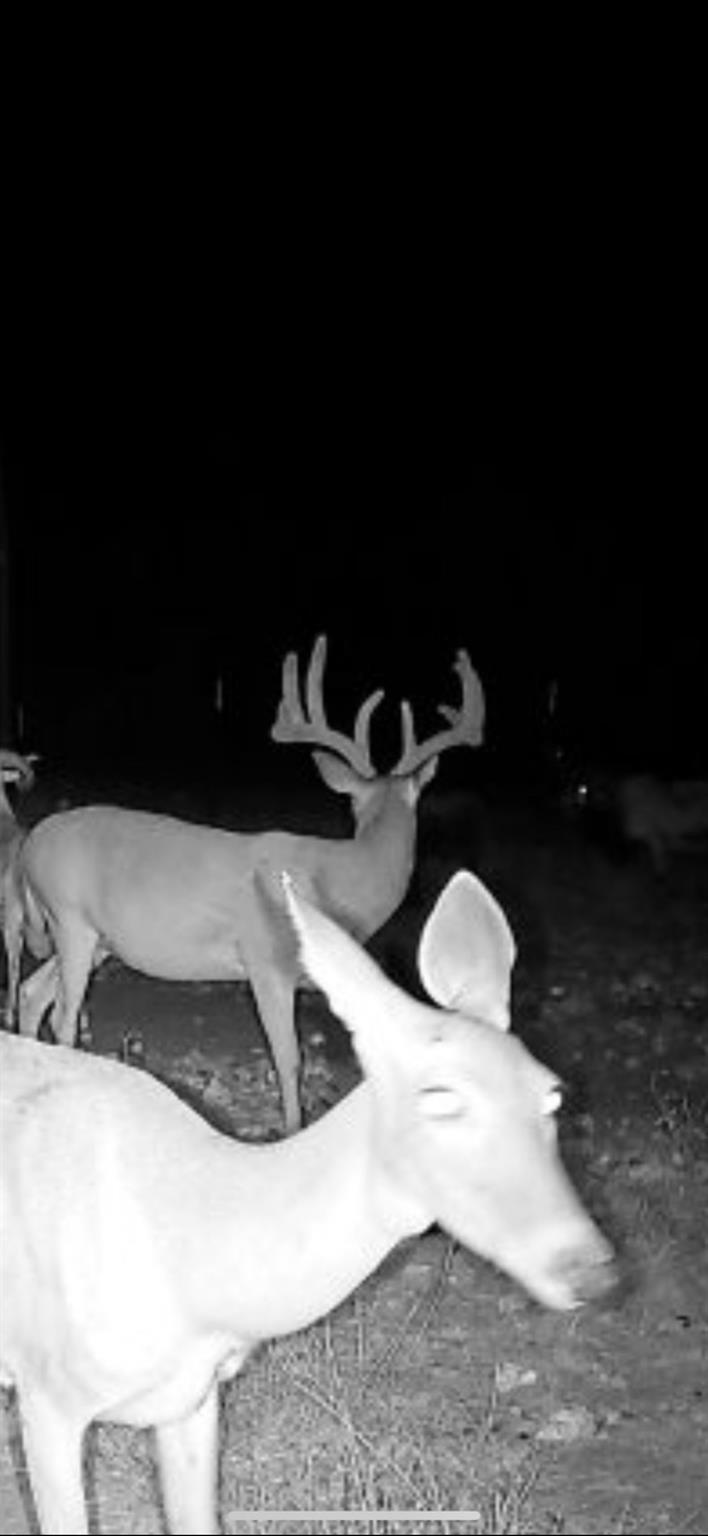 9 N Hcr 624 Rd, Goldthwaite, TX 76844