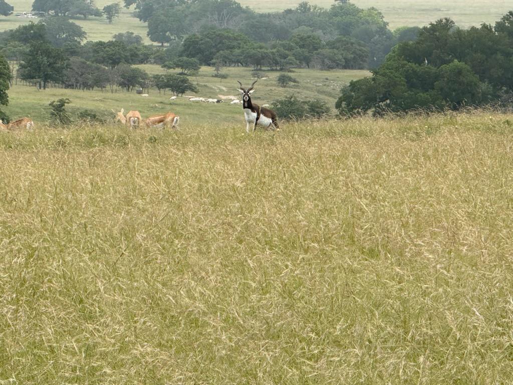 9 N Hcr 624 Rd, Goldthwaite, TX 76844