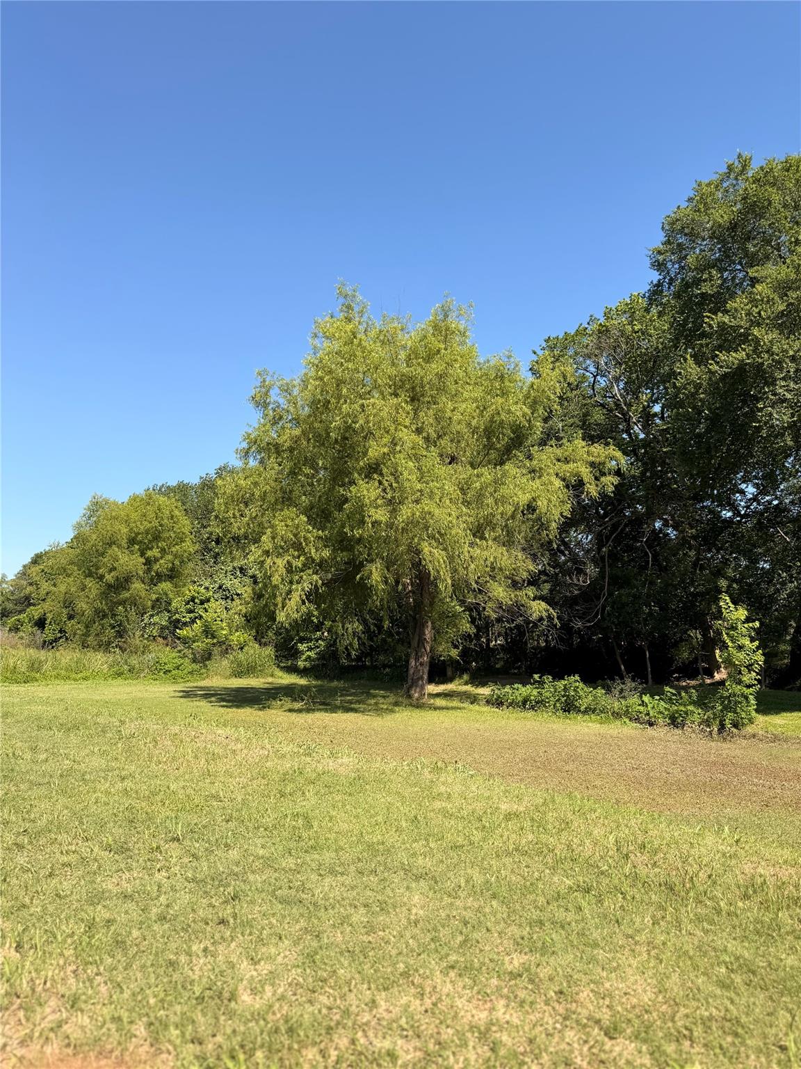 10009 LORADO Dr, Austin, TX 78725