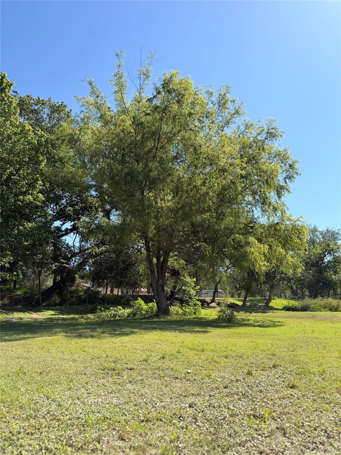 10009 LORADO Dr, Austin, TX 78725