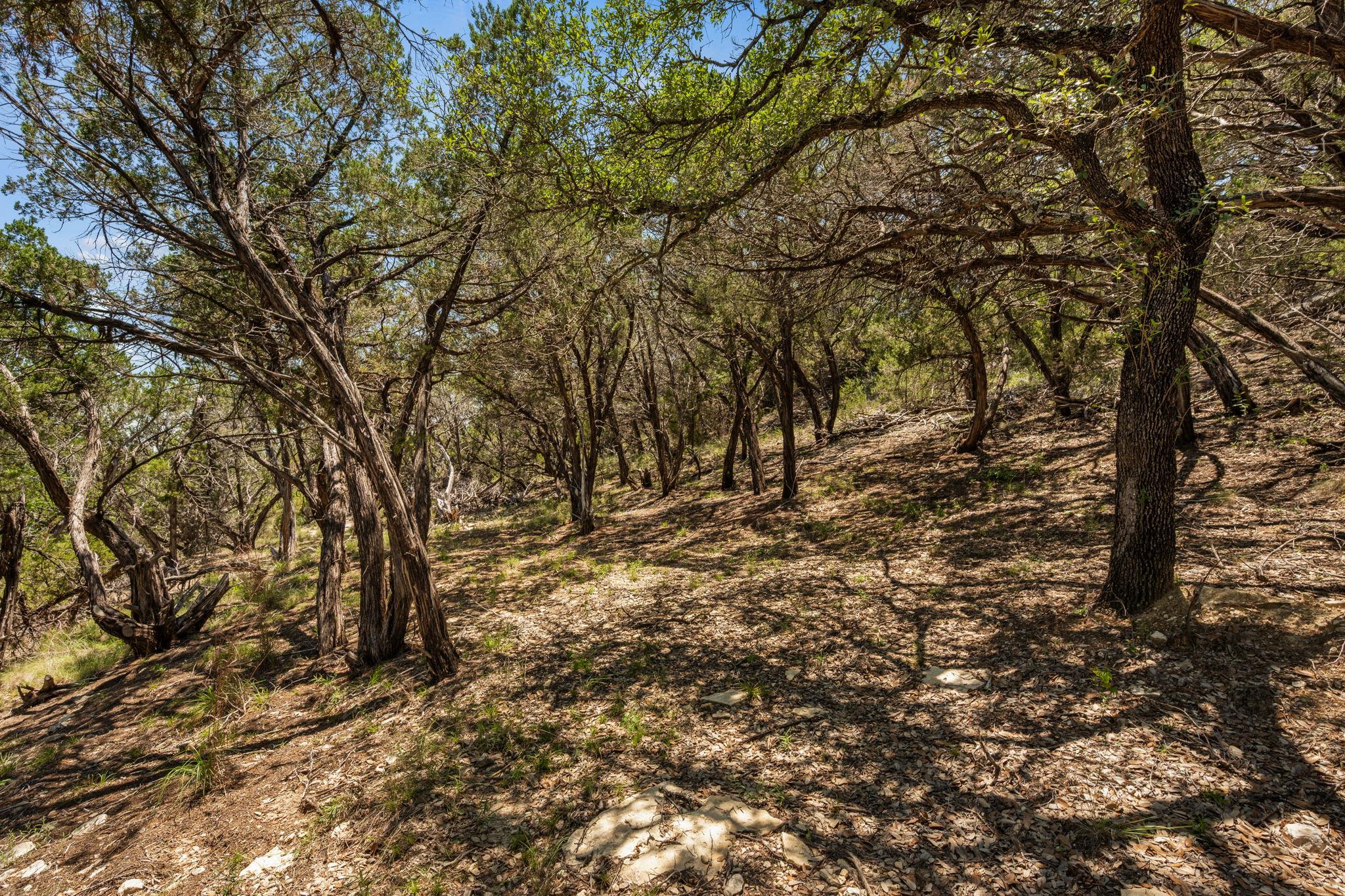 6925 White Hills Ln, Marble Falls, TX 78654