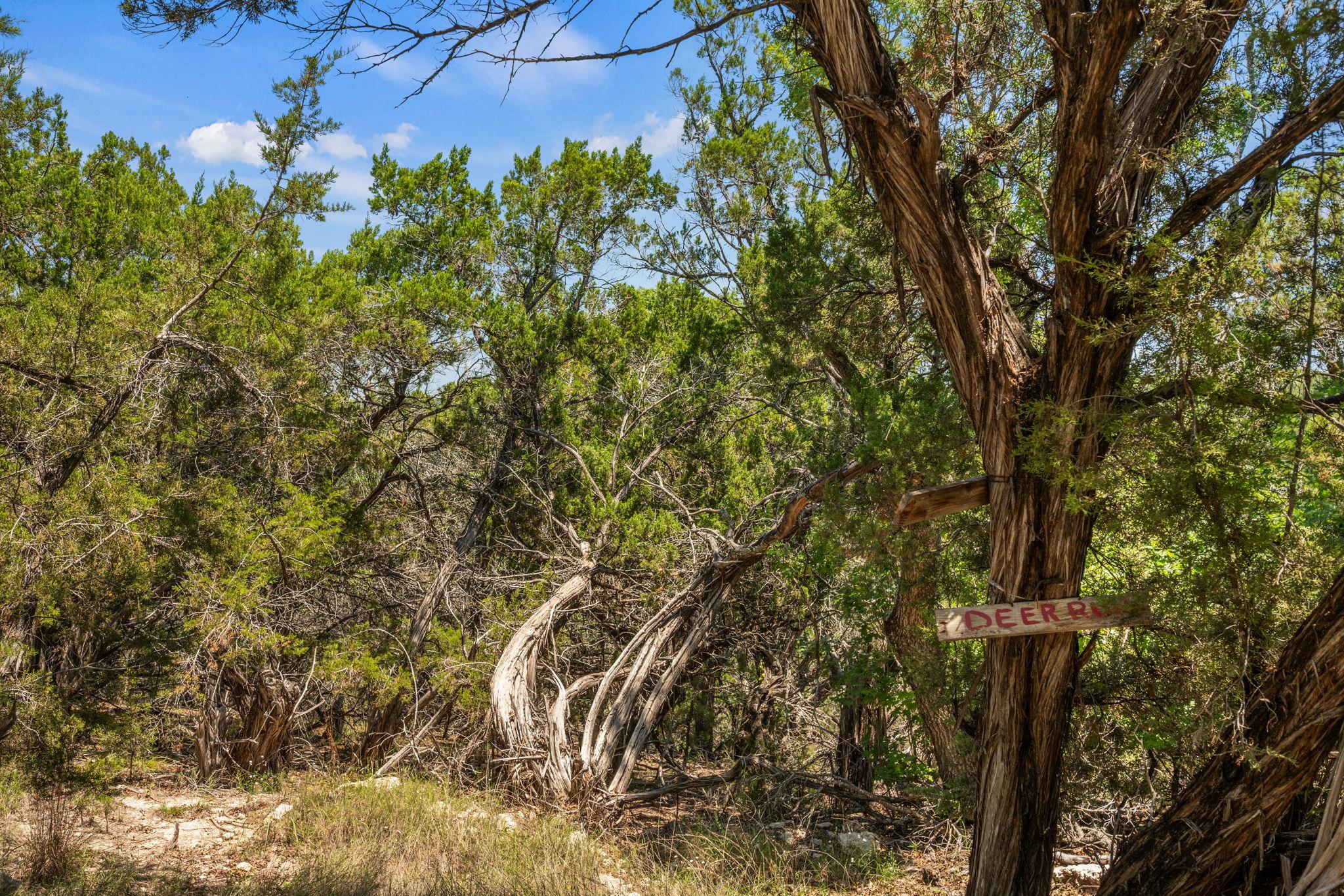 6925 White Hills Ln, Marble Falls, TX 78654