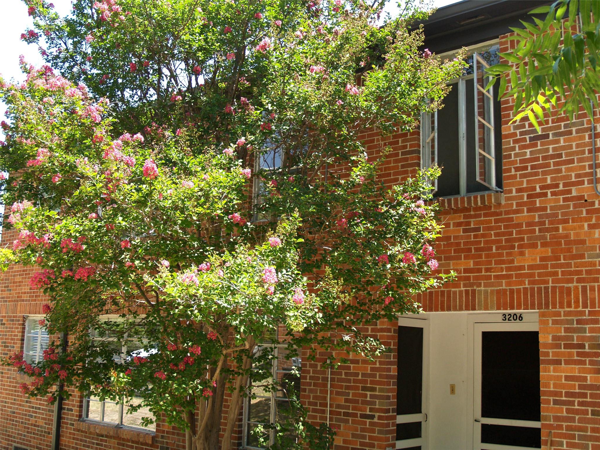 3206 Tom Green St # F, Austin, TX 78705
