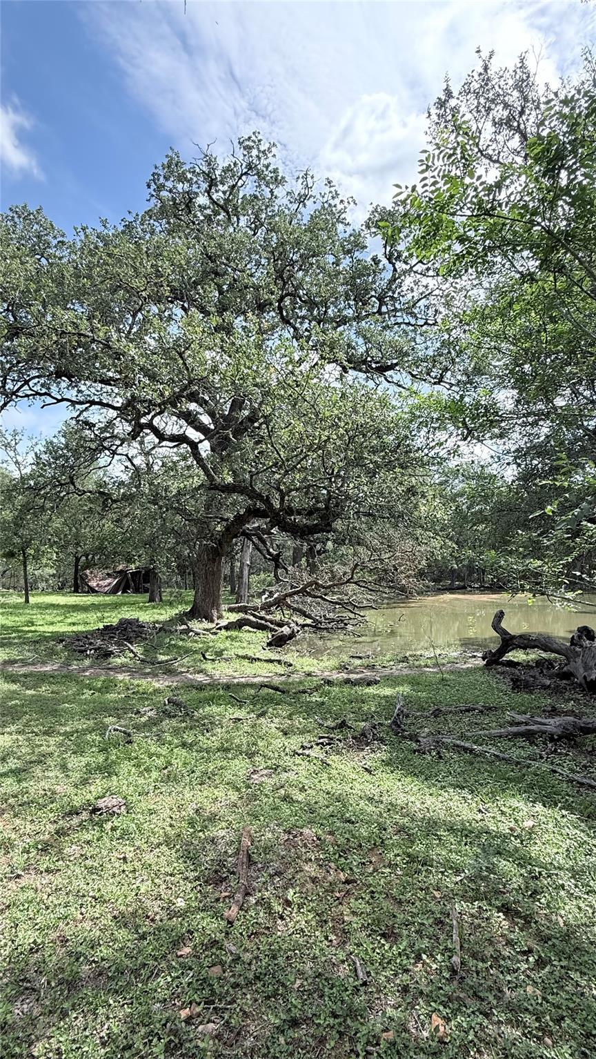 1880 Fm 2571, Smithville, TX 78957