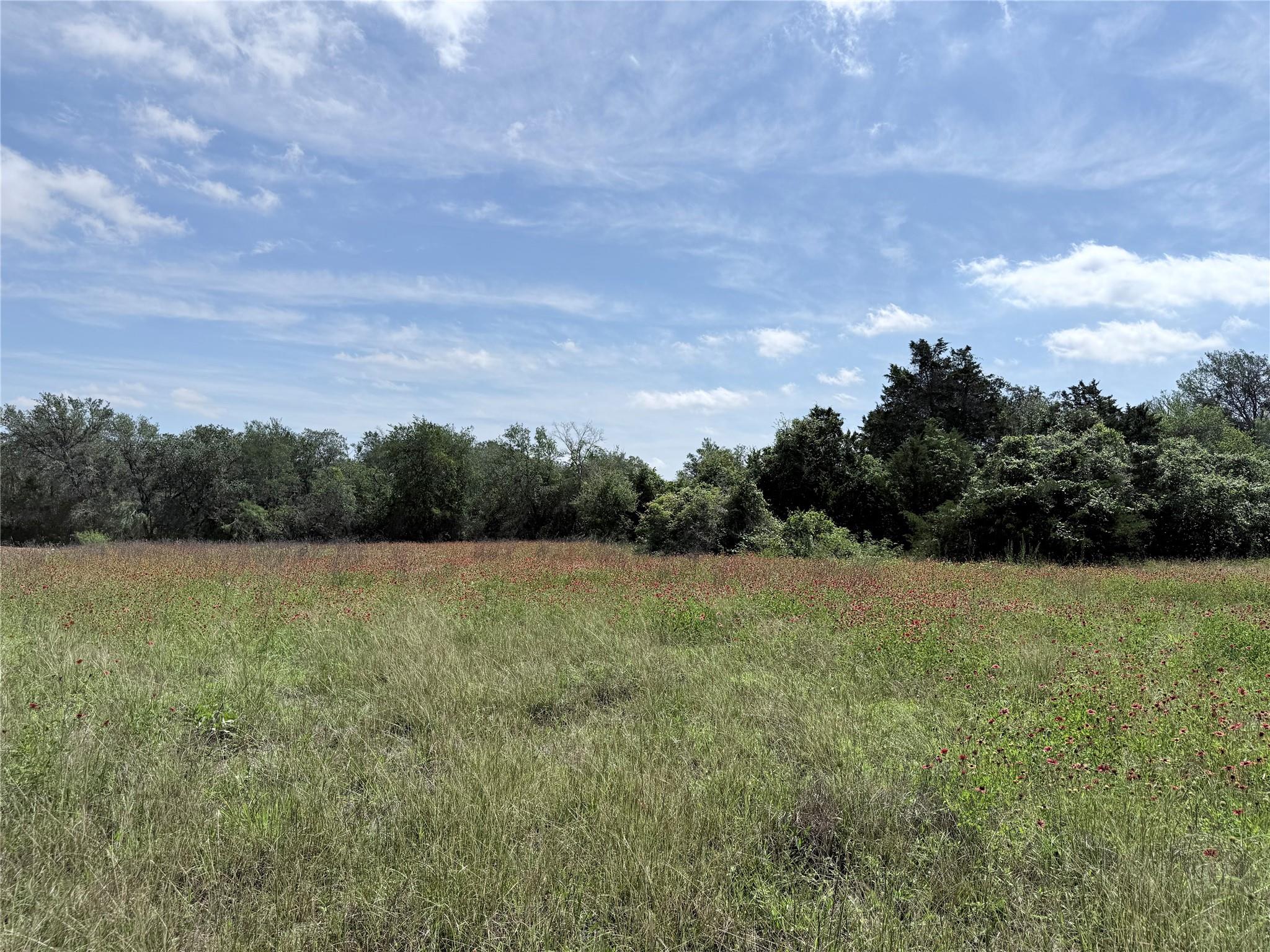 1880 Fm 2571, Smithville, TX 78957