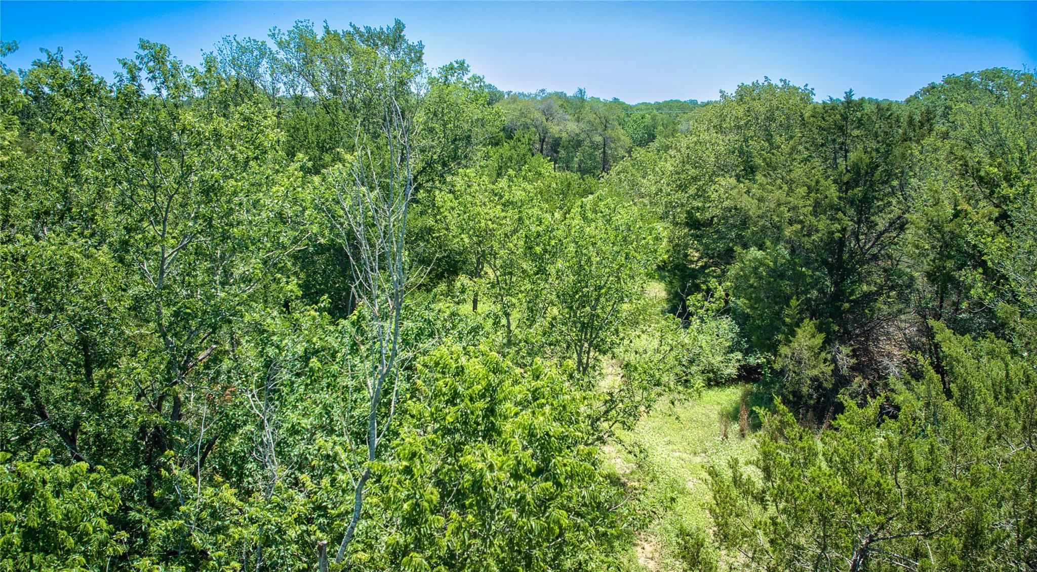 Lot 10C Foothill Rd, Bastrop, TX 78602