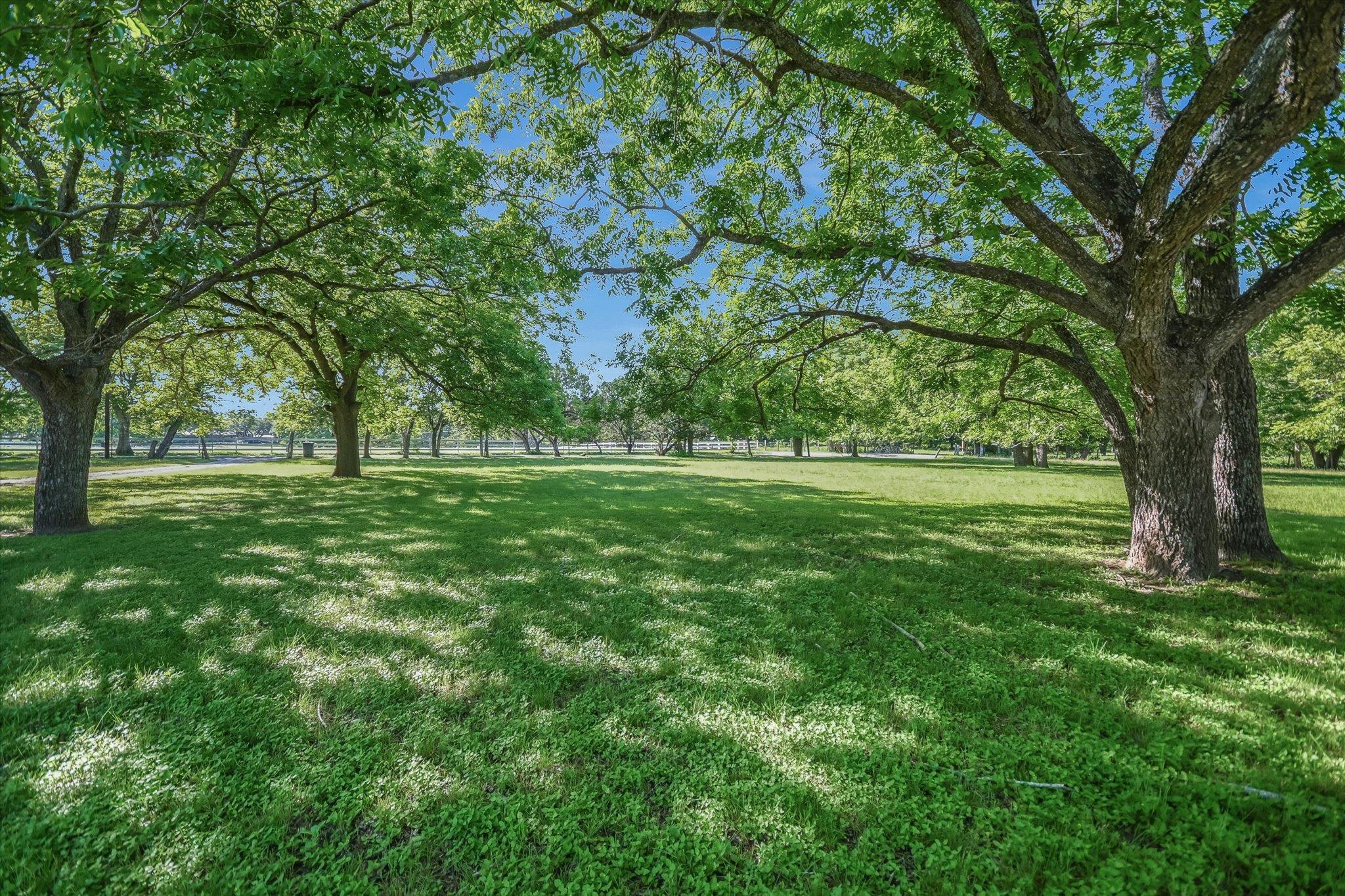 2700 Flite Acres Rd, Wimberley, TX 78676