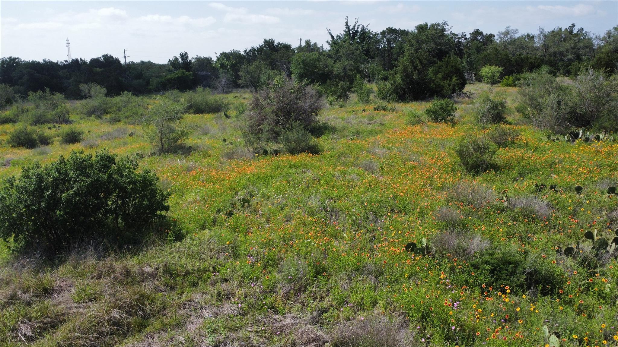 237 Spicewood Trails Dr, Spicewood, TX 78669