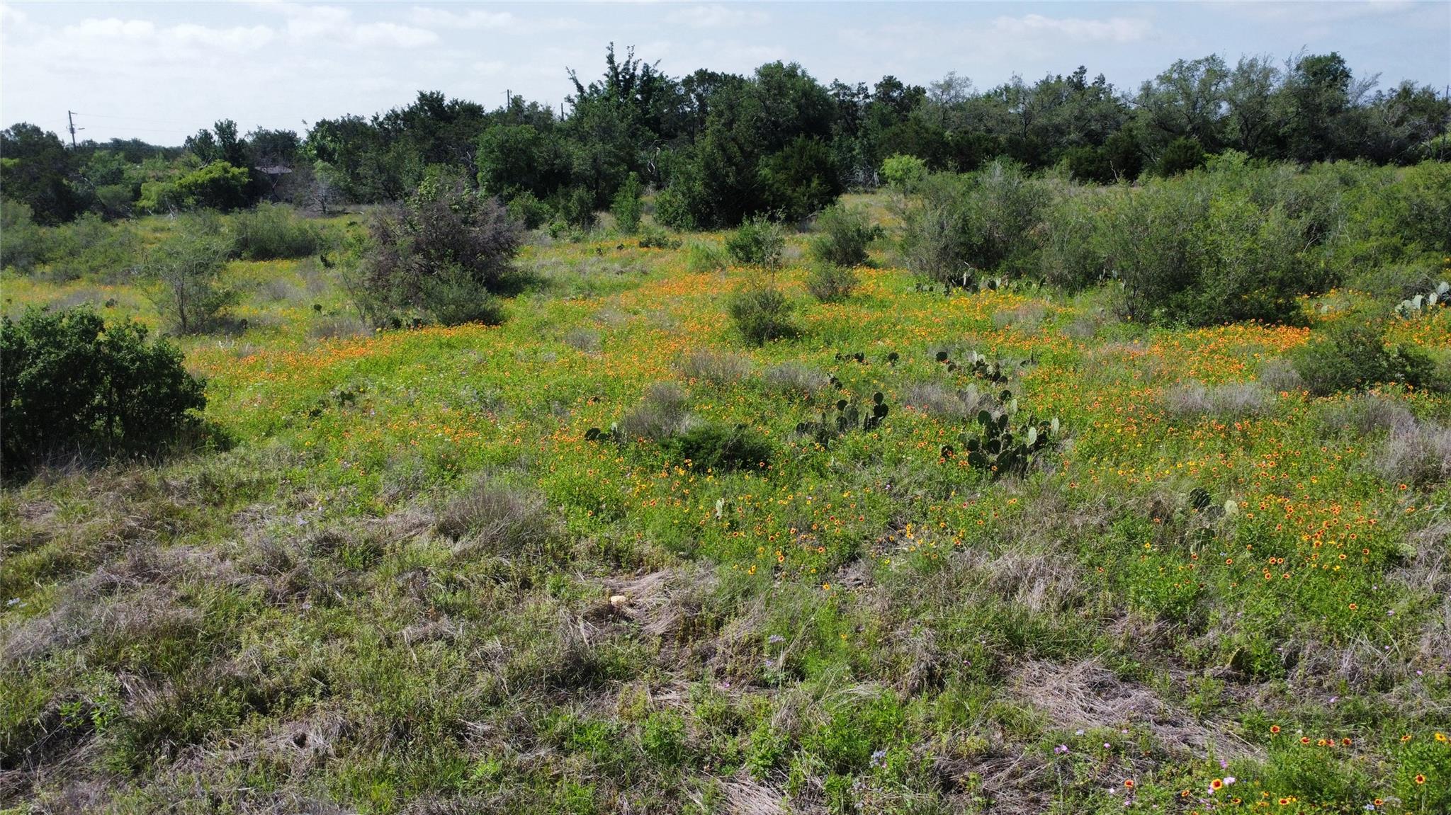 237 Spicewood Trails Dr, Spicewood, TX 78669
