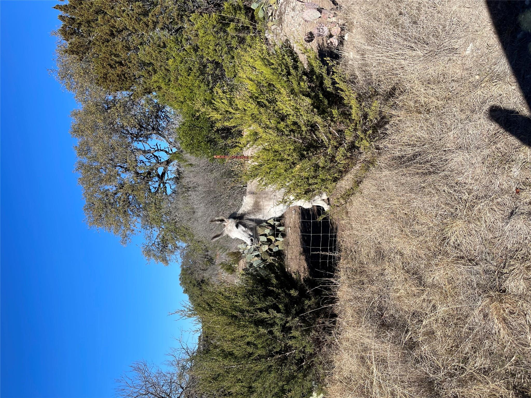 305 Walnut Springs Ranch Rd, Uvalde, TX 78801