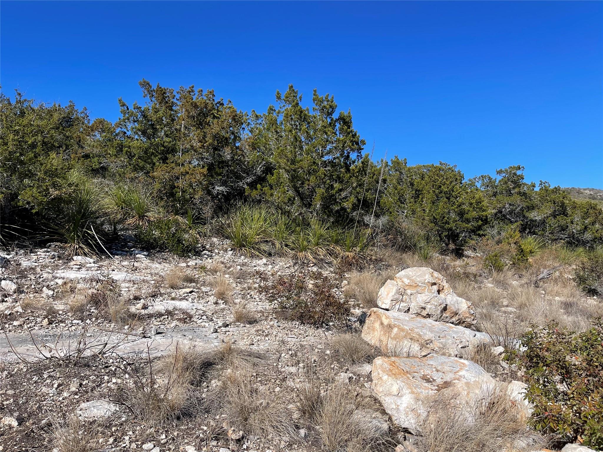 305 Walnut Springs Ranch Rd, Uvalde, TX 78801