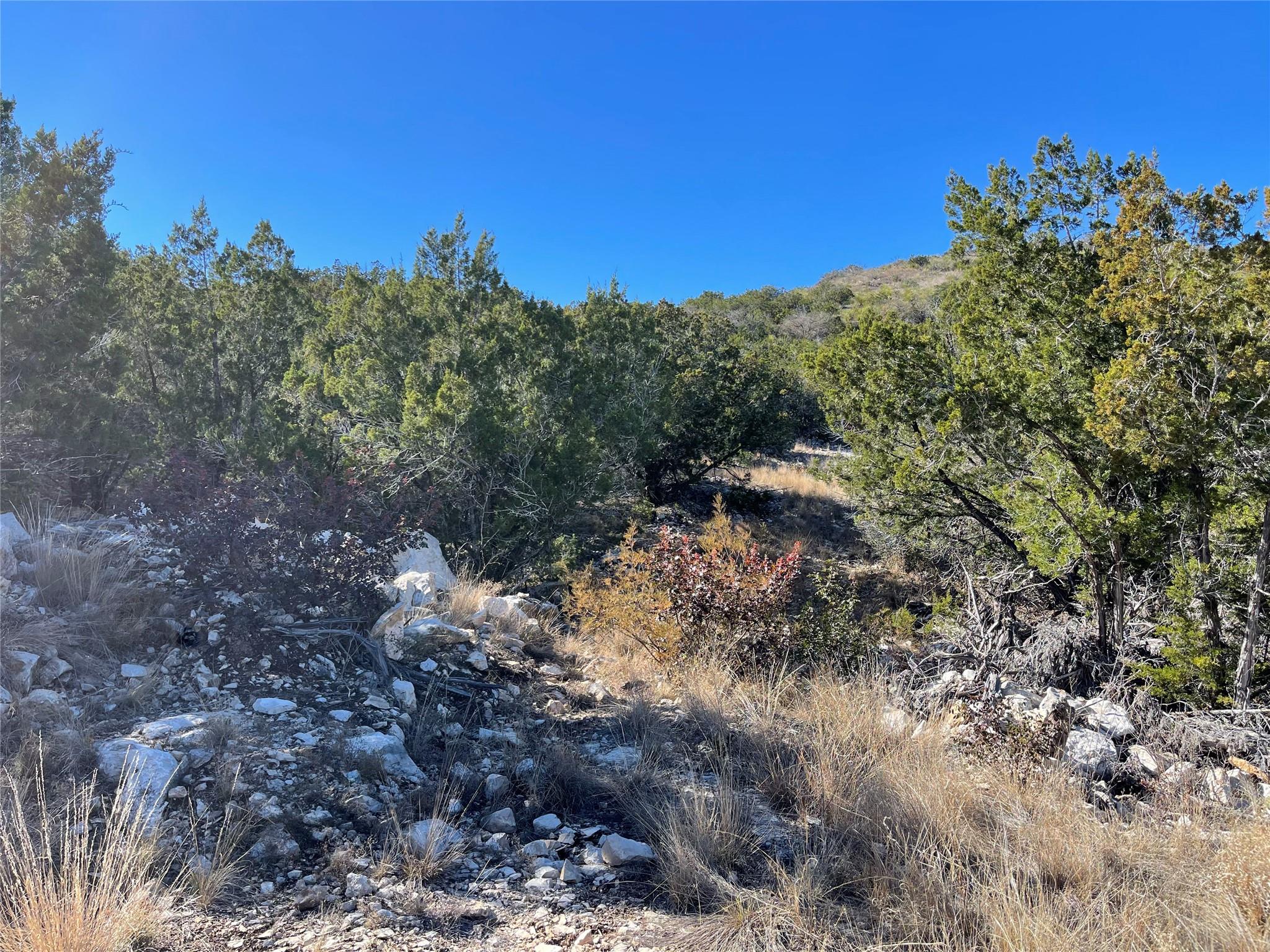 305 Walnut Springs Ranch Rd, Uvalde, TX 78801