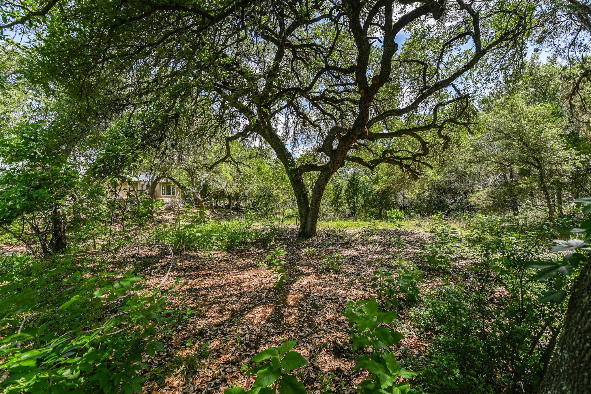4553 McCall Creek Rd, Blanco, TX 78606