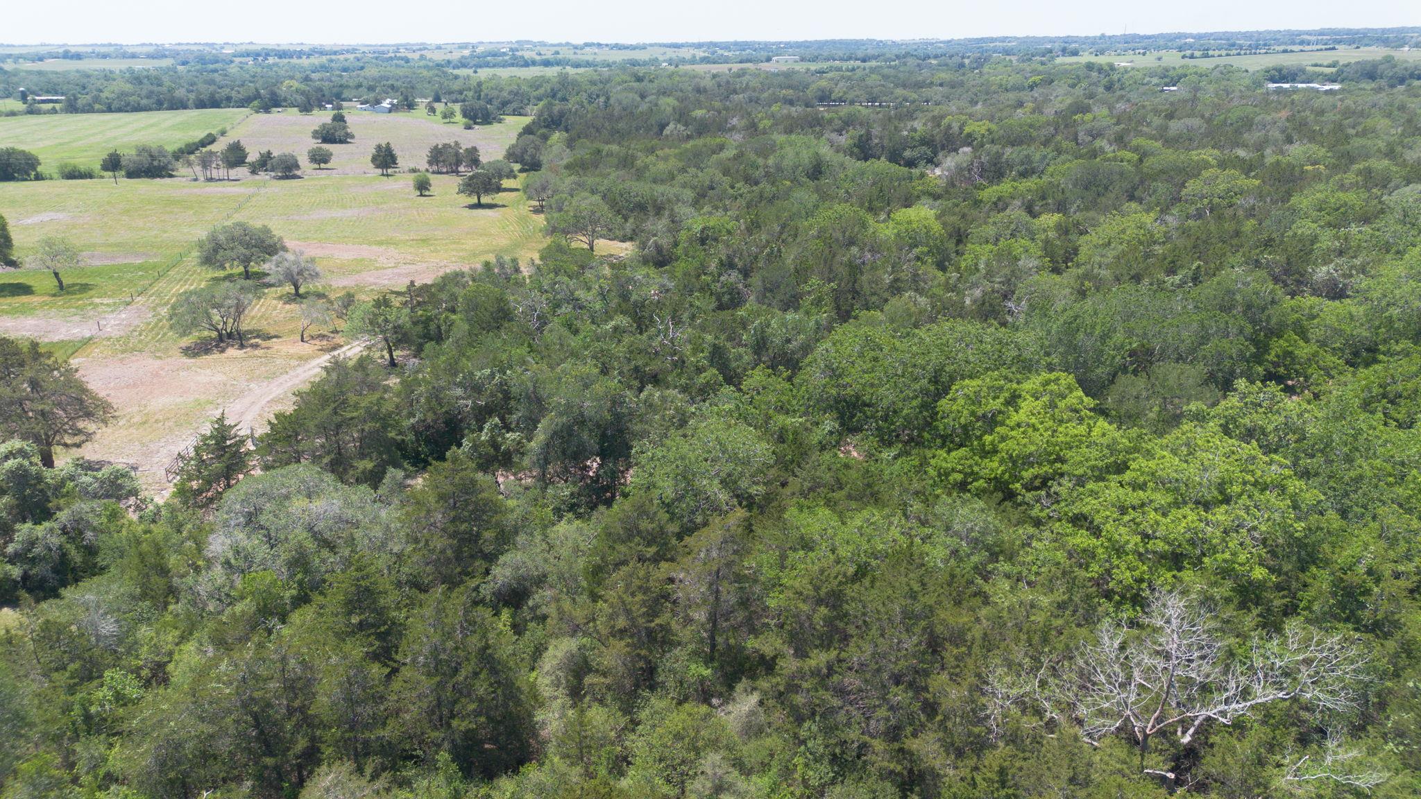 2088 (Tract #3) Baca Loop, Flatonia, TX 78941