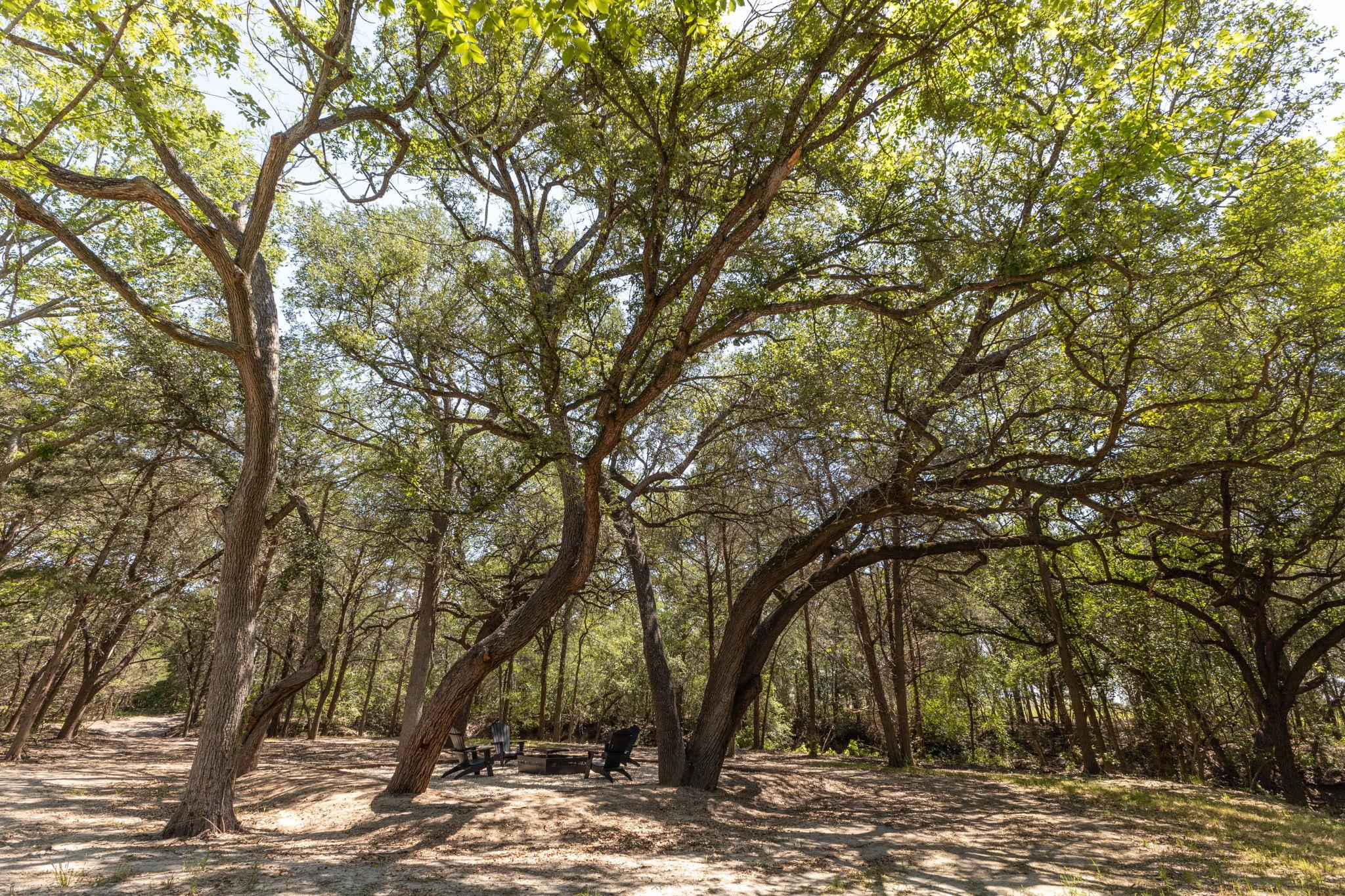 2088 (Tract #3) Baca Loop, Flatonia, TX 78941
