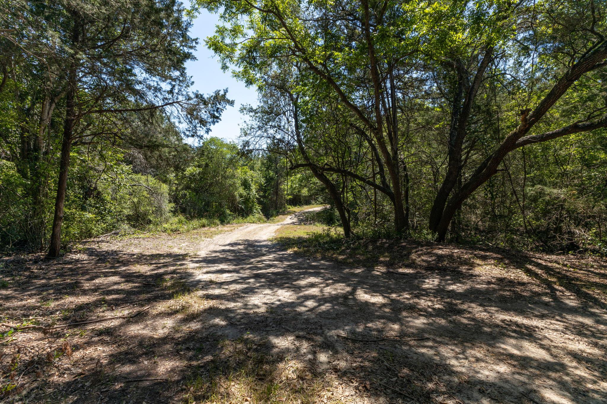 2088 (Tract #3) Baca Loop, Flatonia, TX 78941