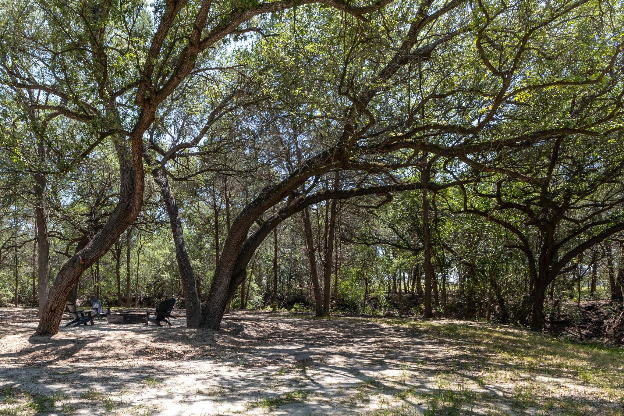 2088 (Tract #3) Baca Loop, Flatonia, TX 78941