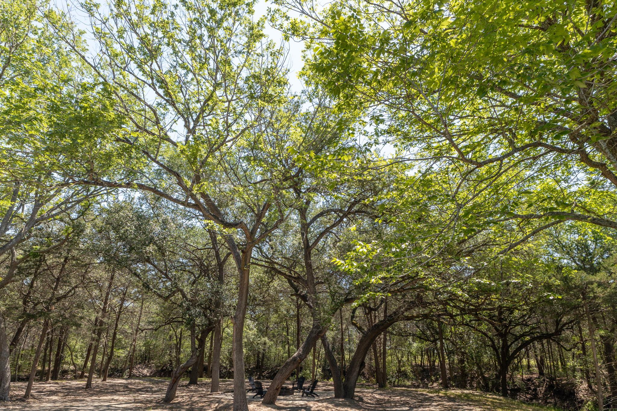 2088 (Tract #3) Baca Loop, Flatonia, TX 78941