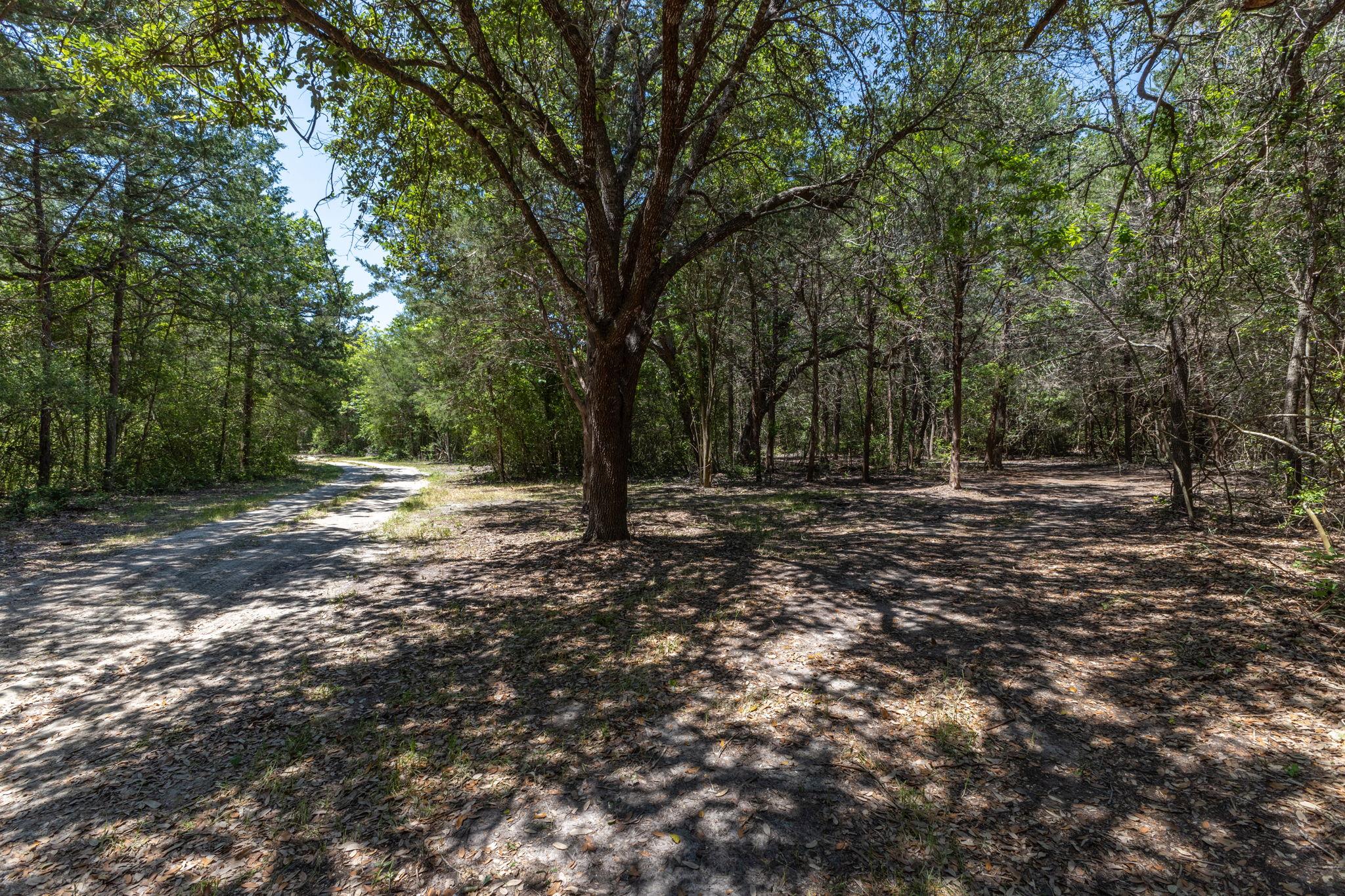 2088 (Tract #3) Baca Loop, Flatonia, TX 78941