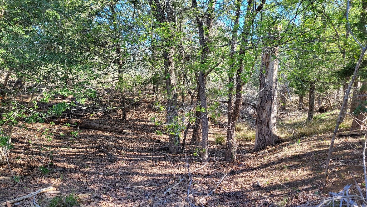 1689 Fm 2104, Paige, TX 78659