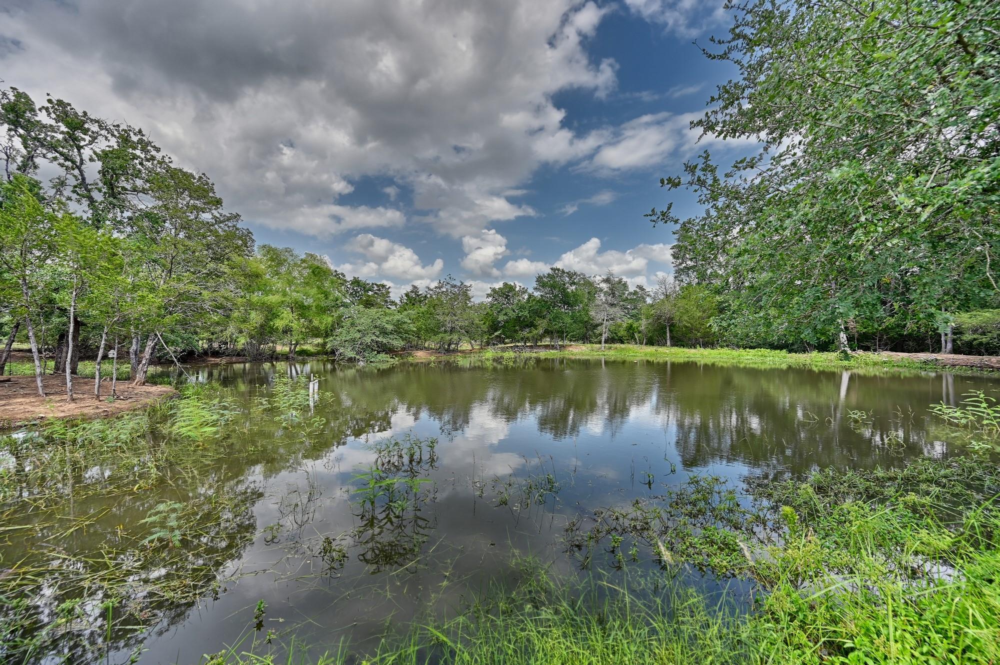 1689 Fm 2104, Paige, TX 78659