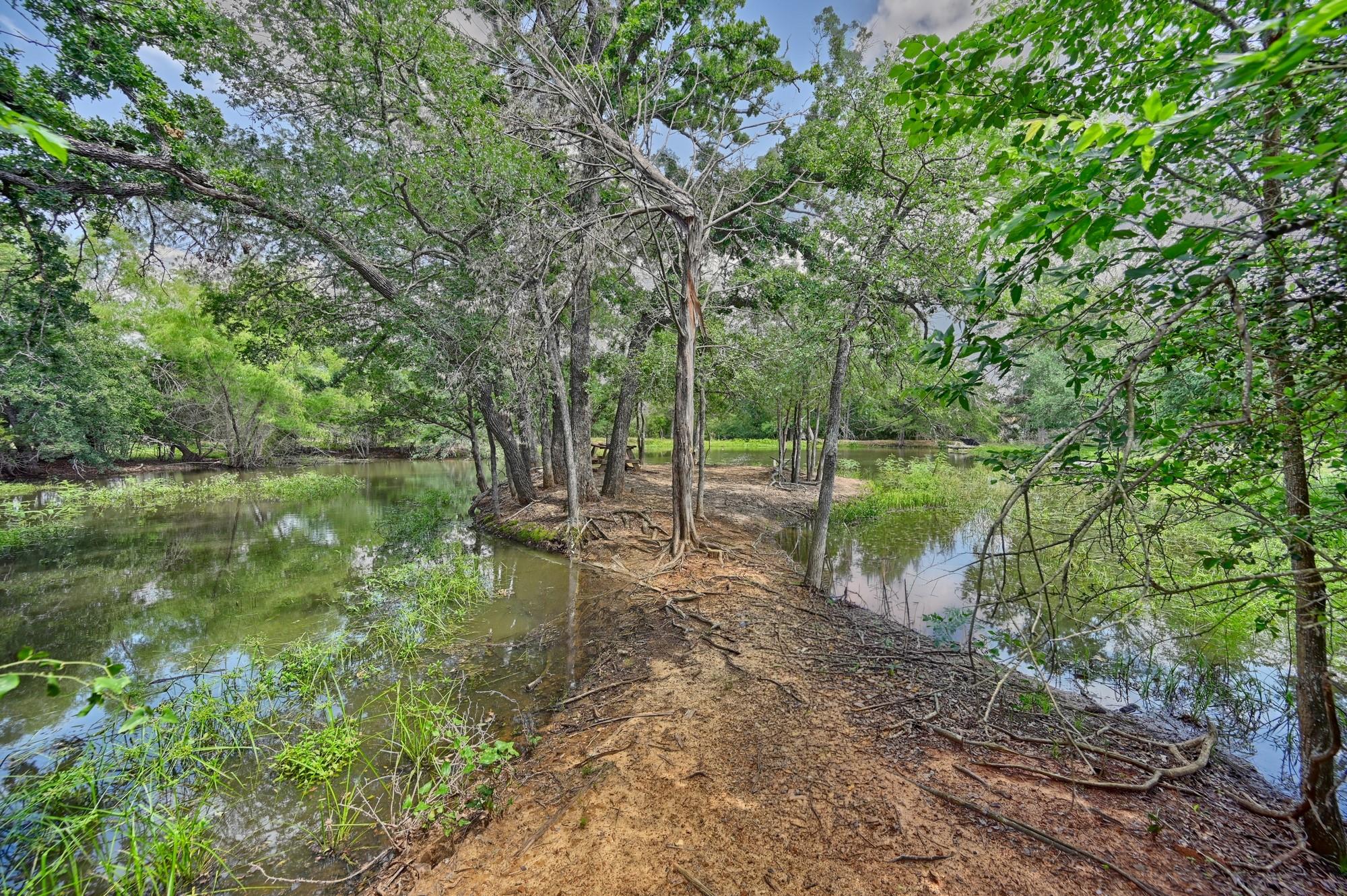 1689 Fm 2104, Paige, TX 78659