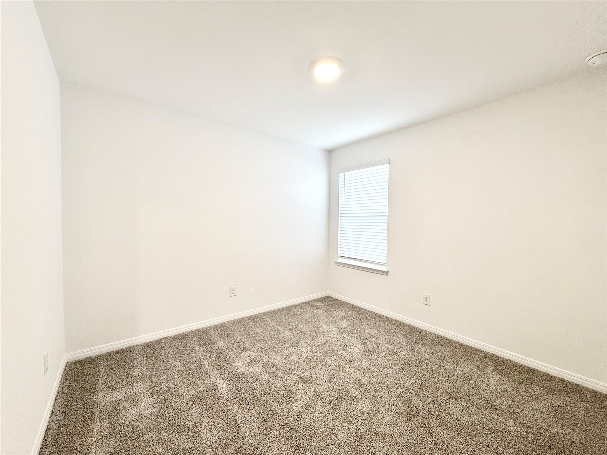 598 Gladiola Loop, Kyle, TX 78640