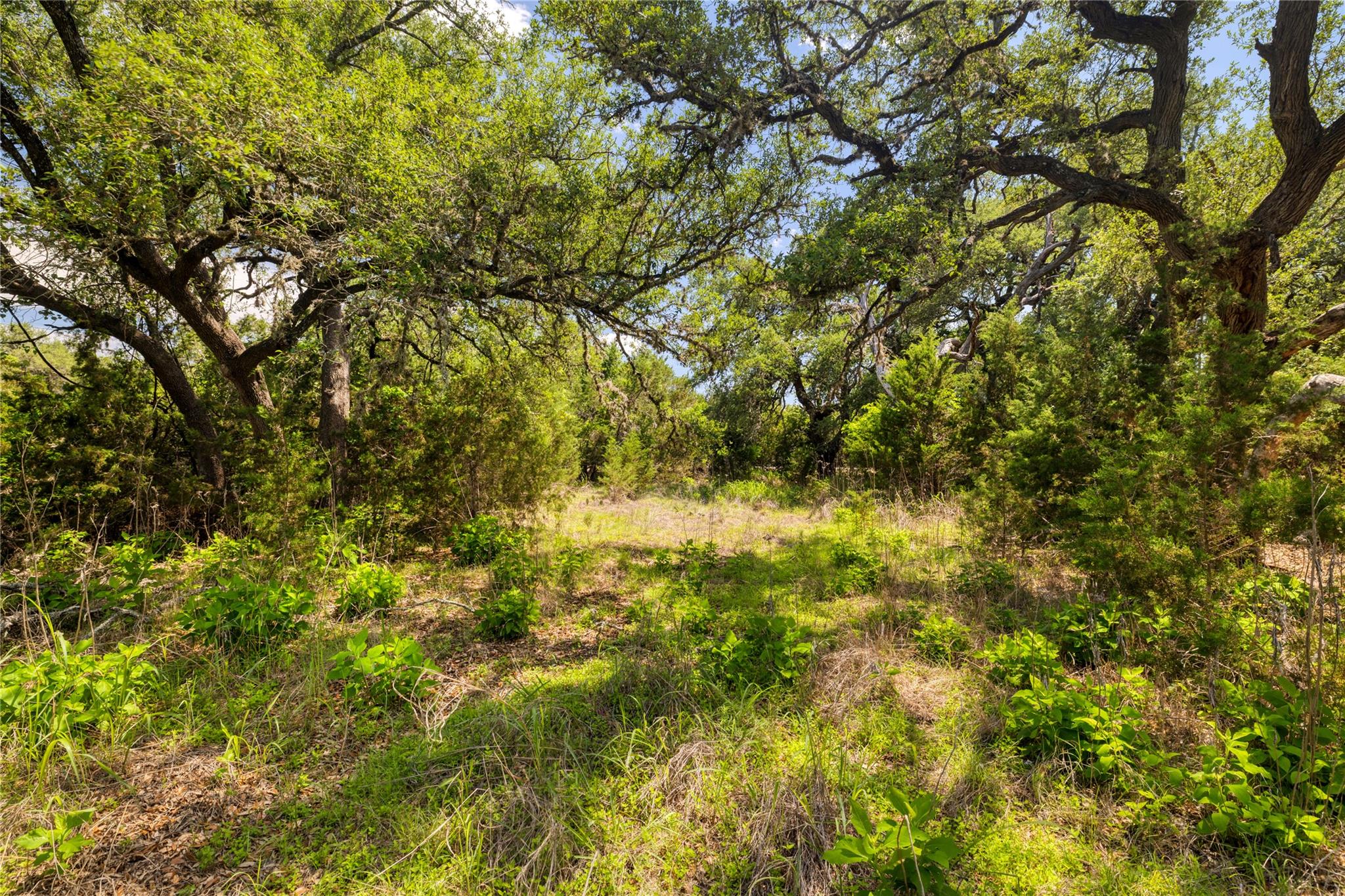 187 Beauchamp Rd, Dripping Springs, TX 78620