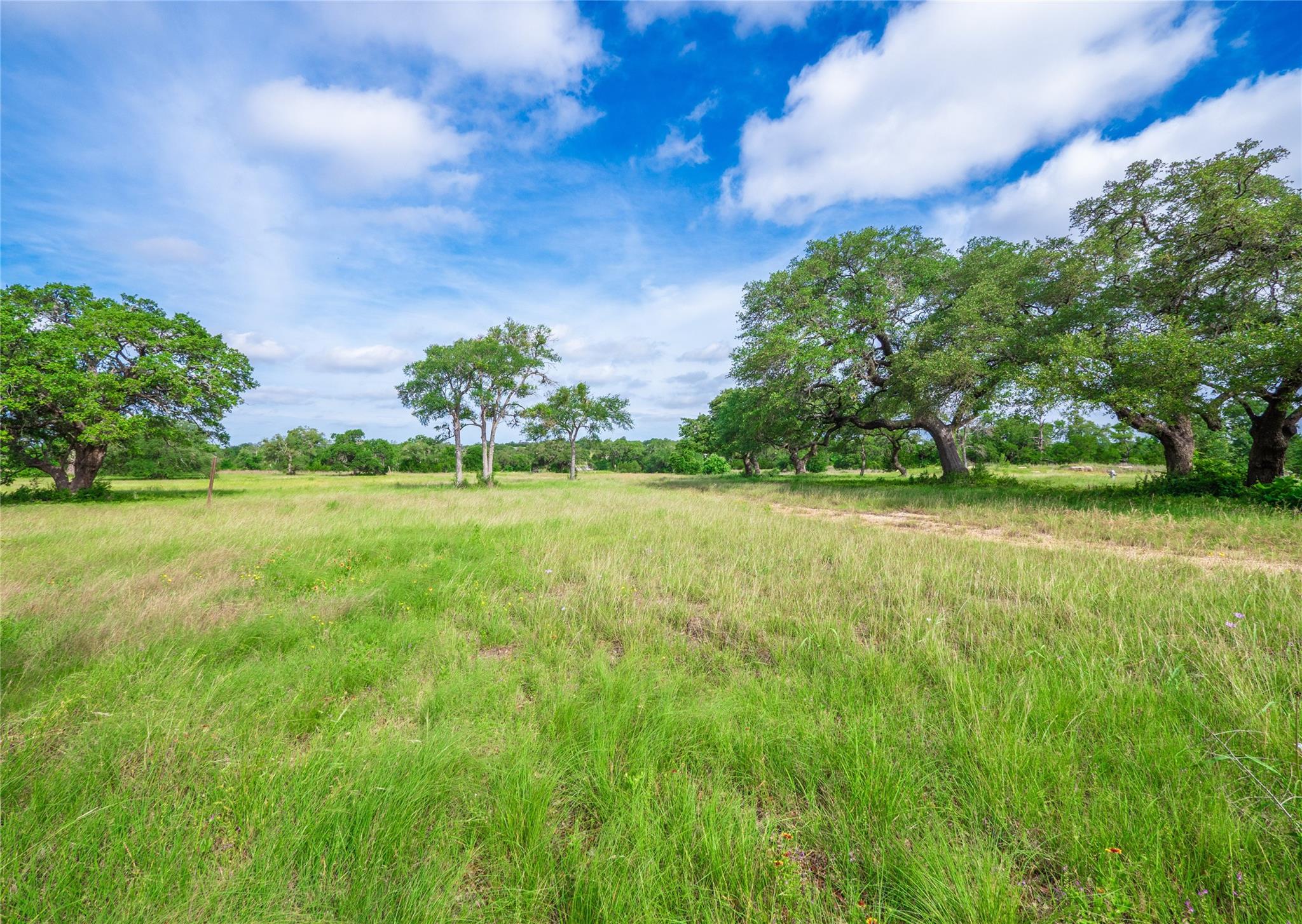 202 Mason Ct, Driftwood, TX 78619