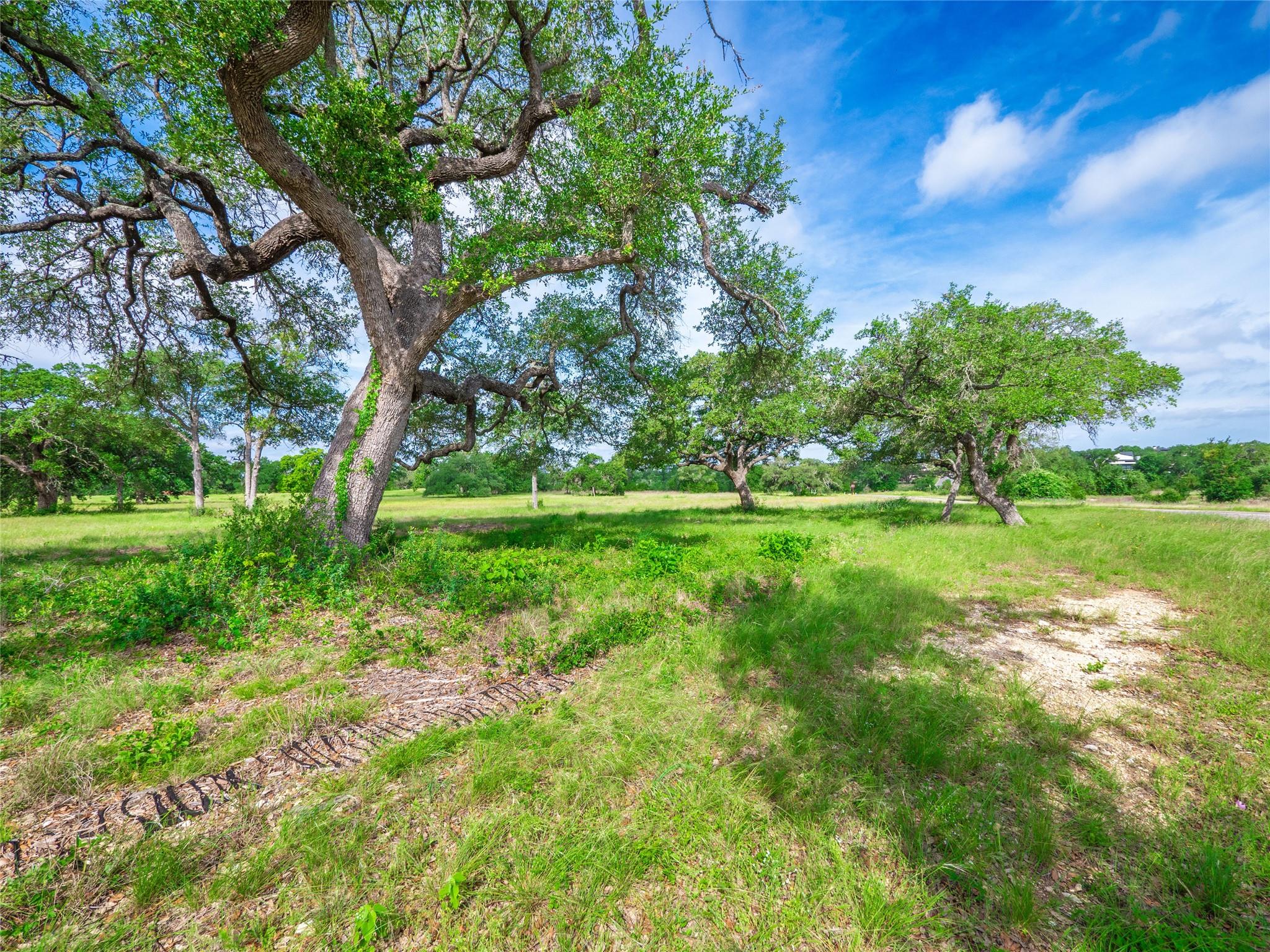 202 Mason Ct, Driftwood, TX 78619