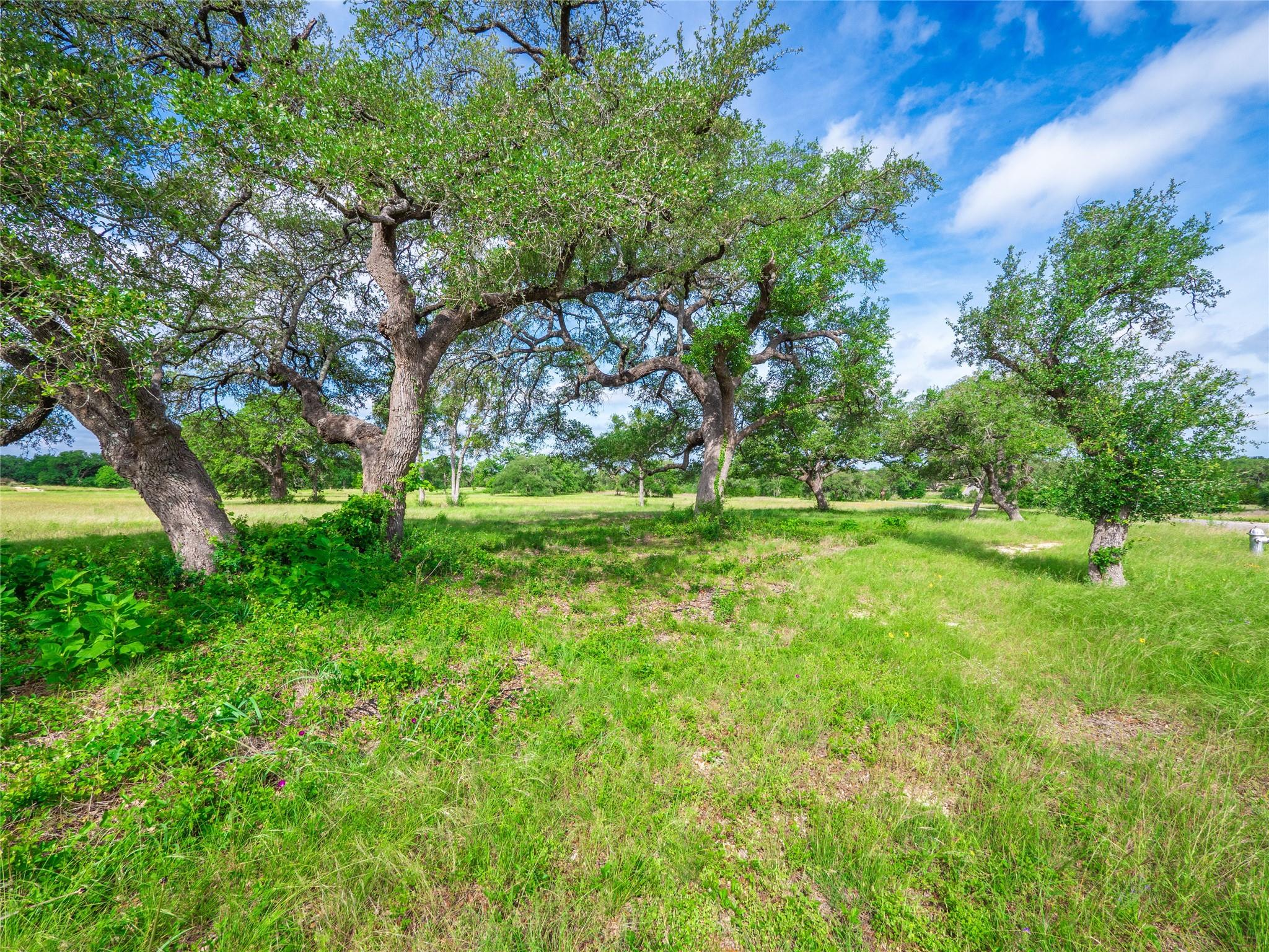 202 Mason Ct, Driftwood, TX 78619