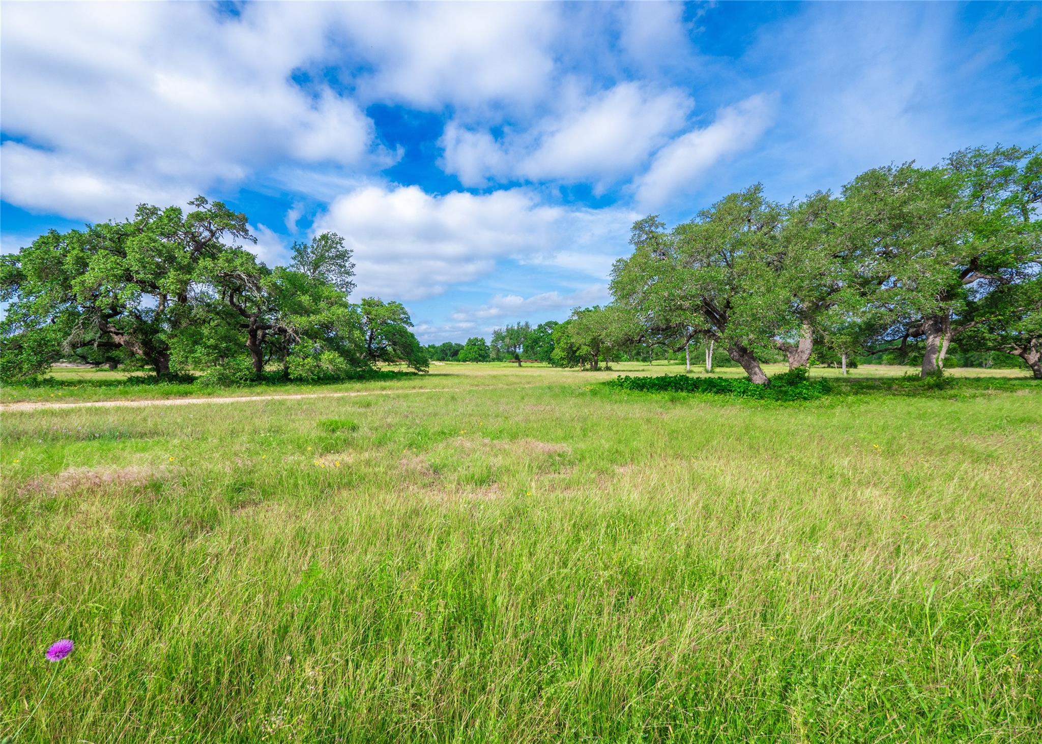 202 Mason Ct, Driftwood, TX 78619