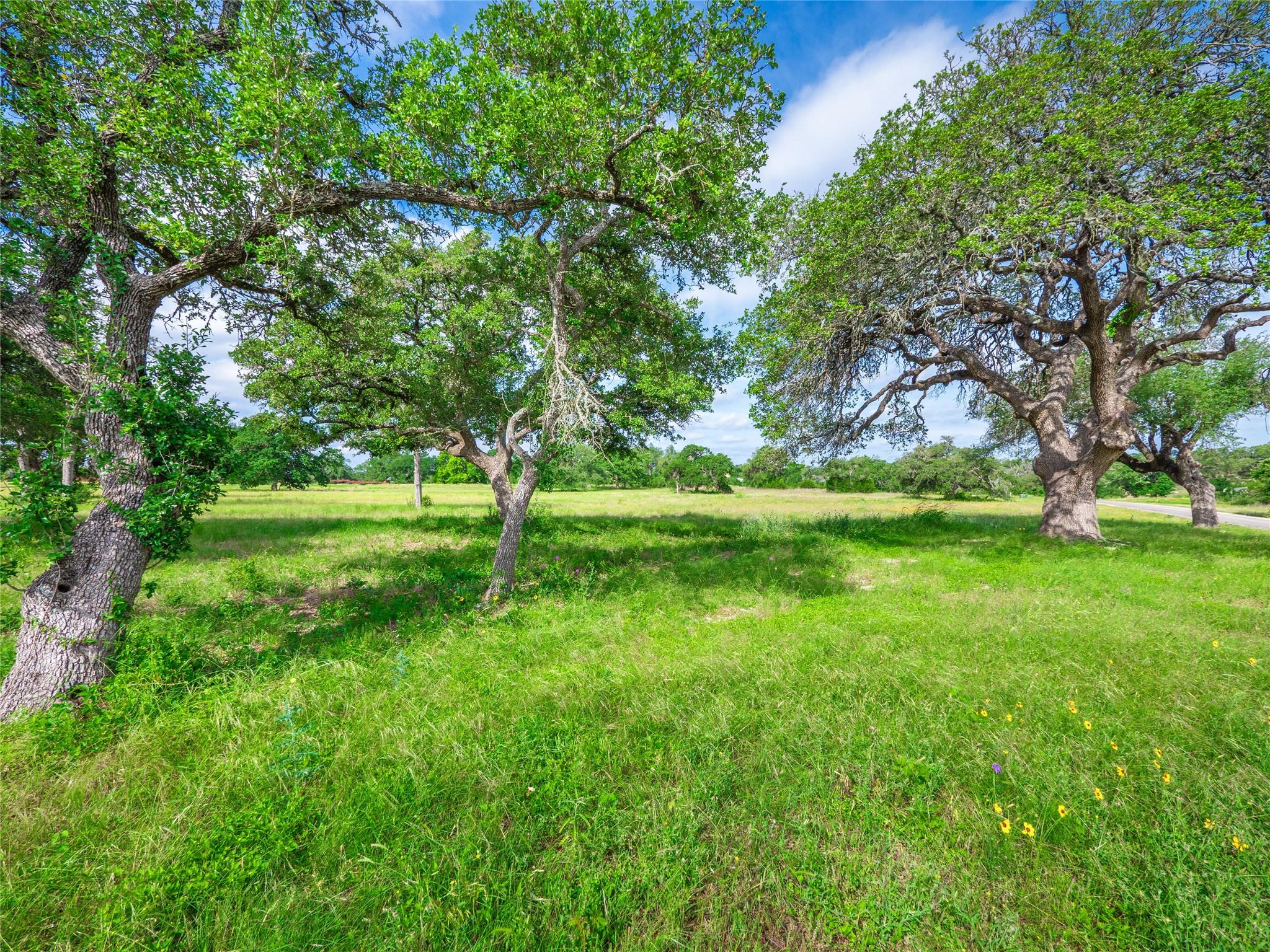 202 Mason Ct, Driftwood, TX 78619