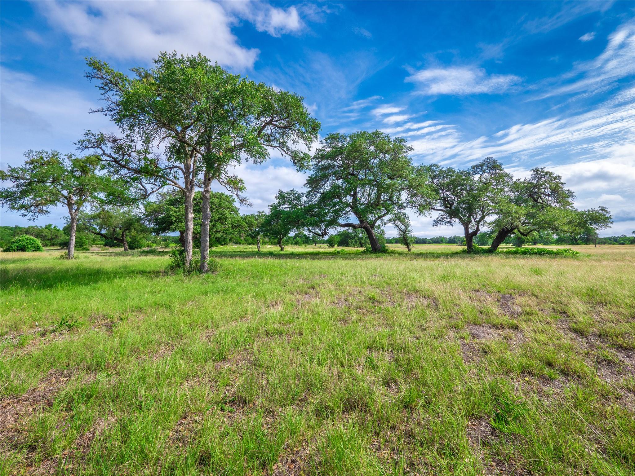 202 Mason Ct, Driftwood, TX 78619