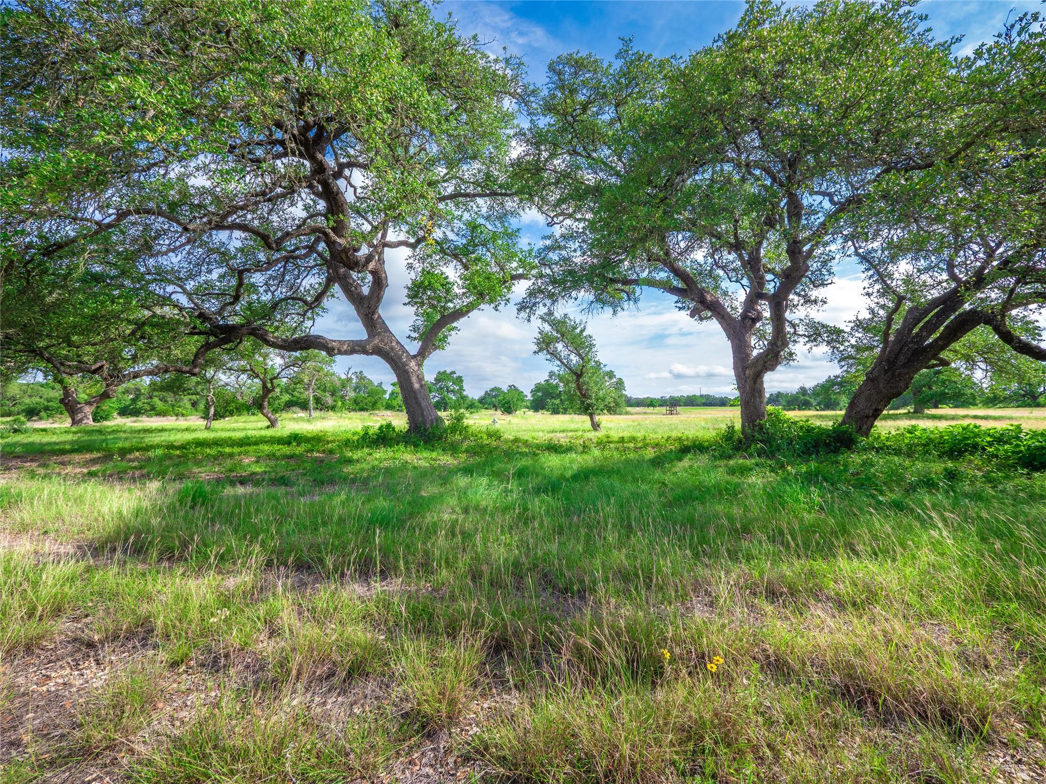 202 Mason Ct, Driftwood, TX 78619