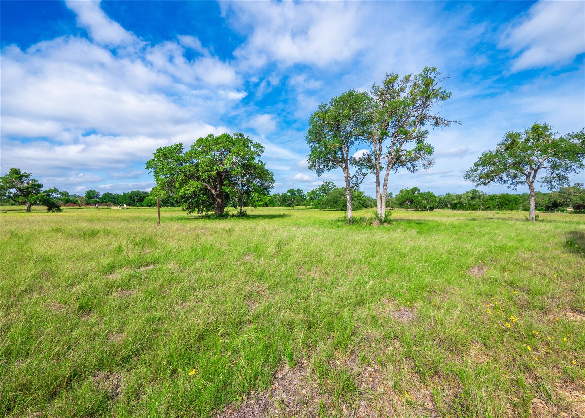 202 Mason Ct, Driftwood, TX 78619