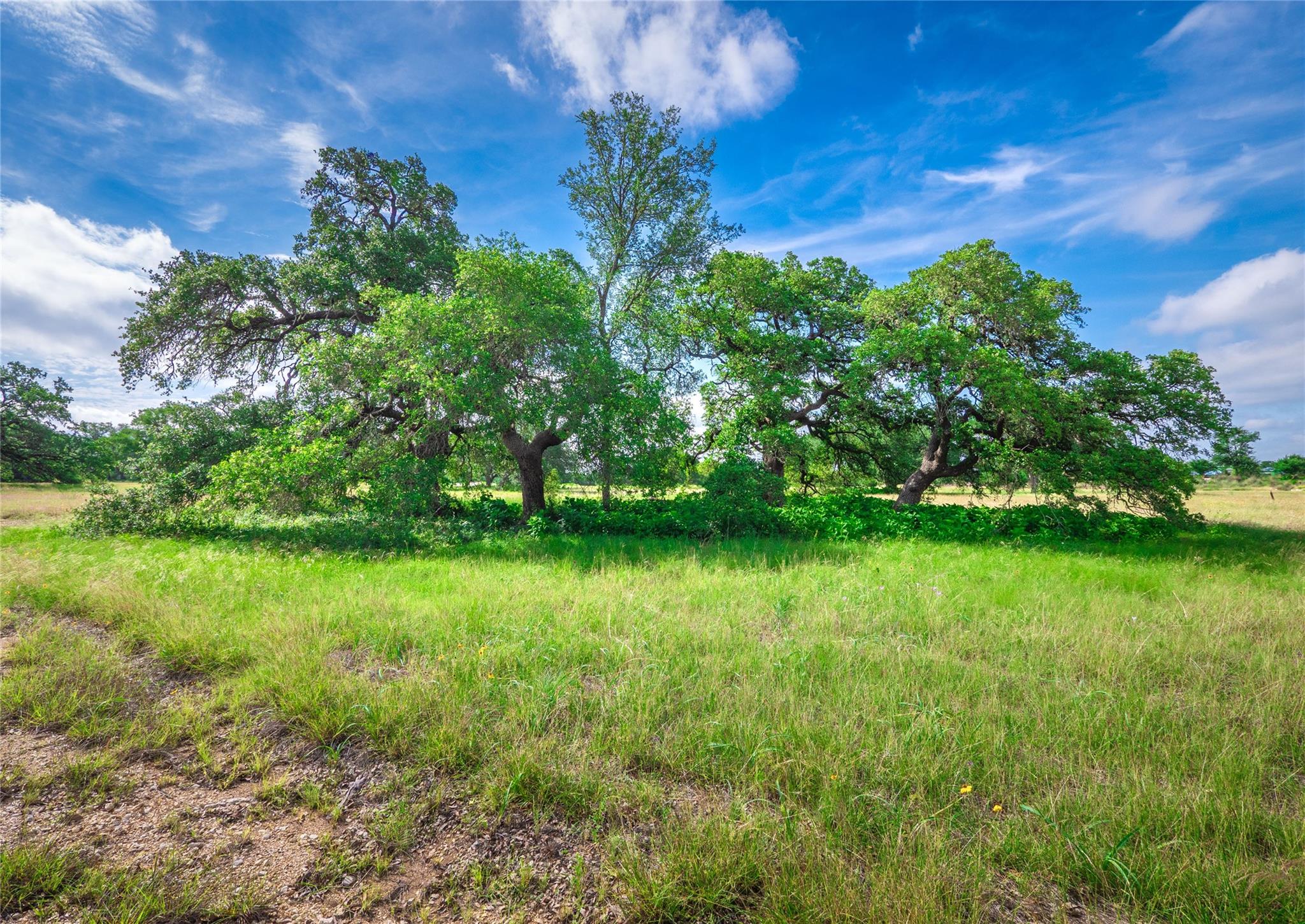 202 Mason Ct, Driftwood, TX 78619