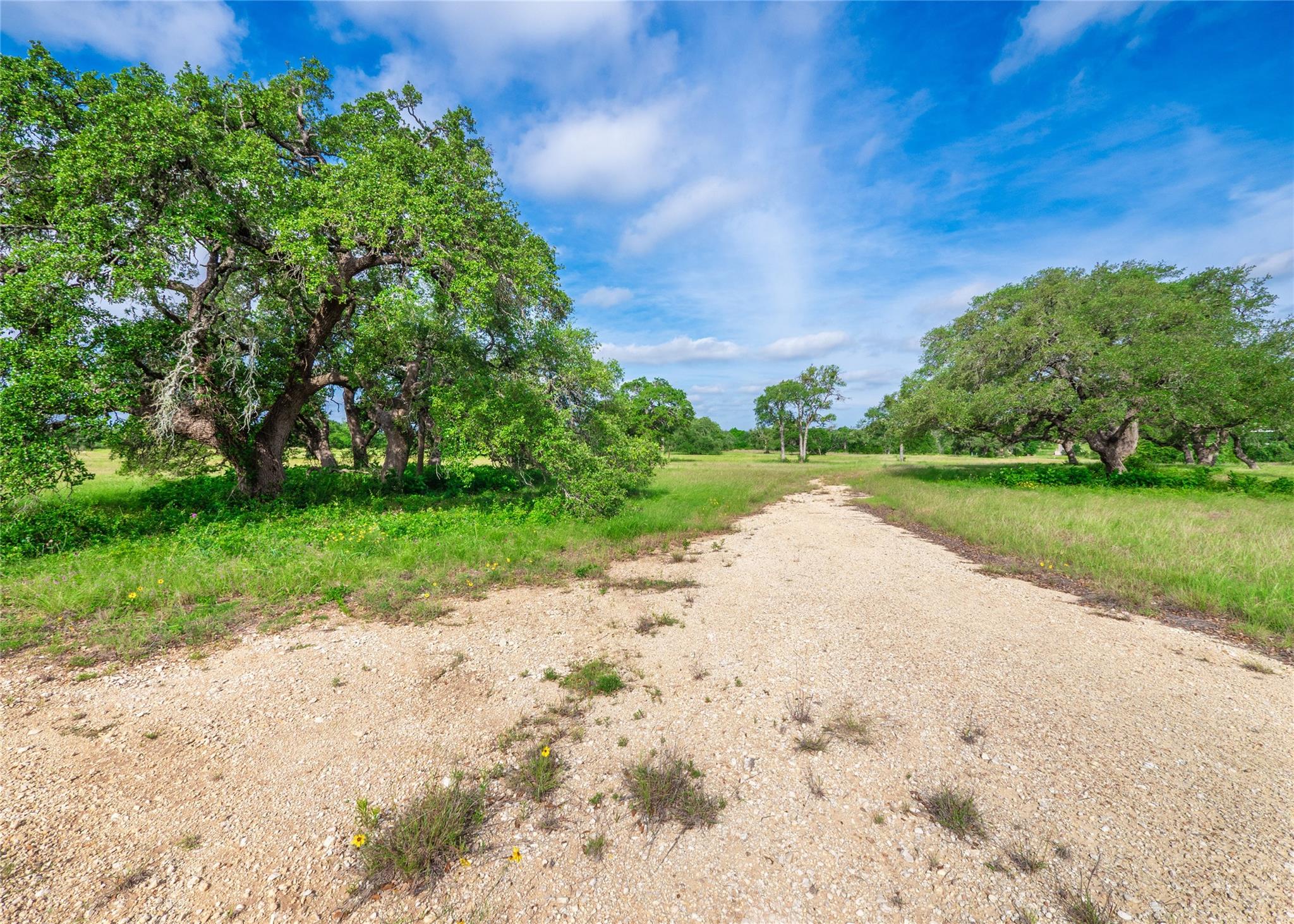 202 Mason Ct, Driftwood, TX 78619