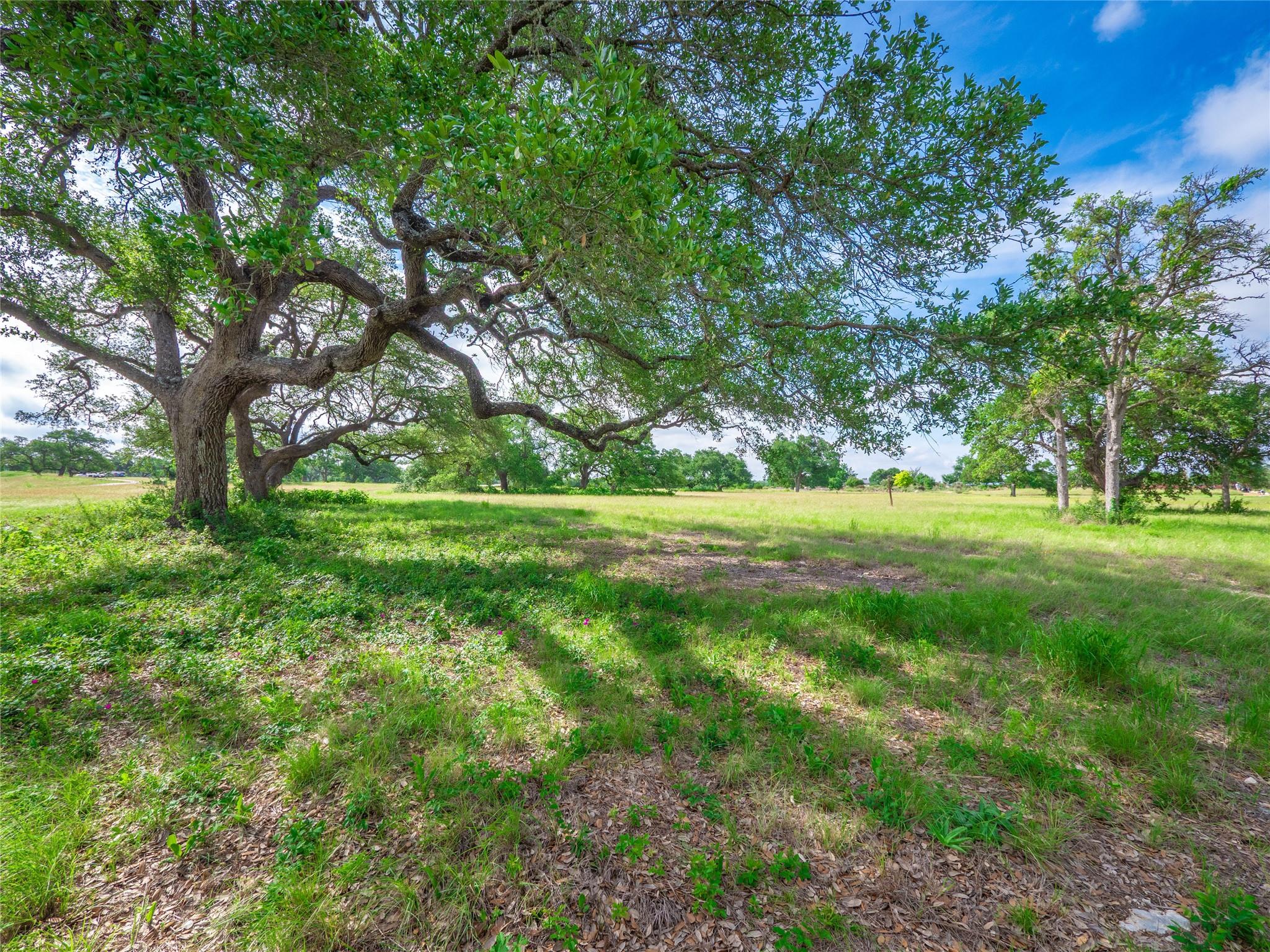 202 Mason Ct, Driftwood, TX 78619