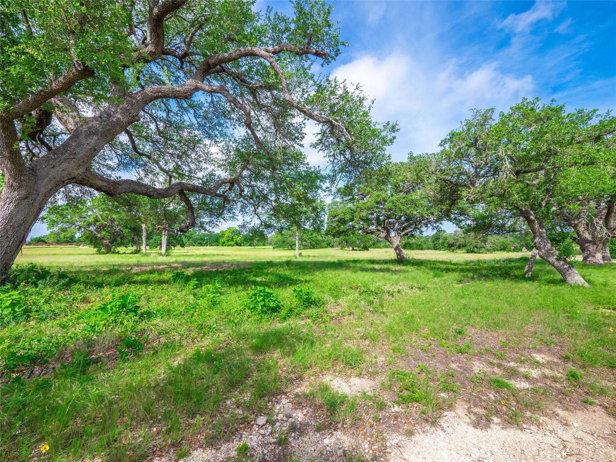 202 Mason Ct, Driftwood, TX 78619