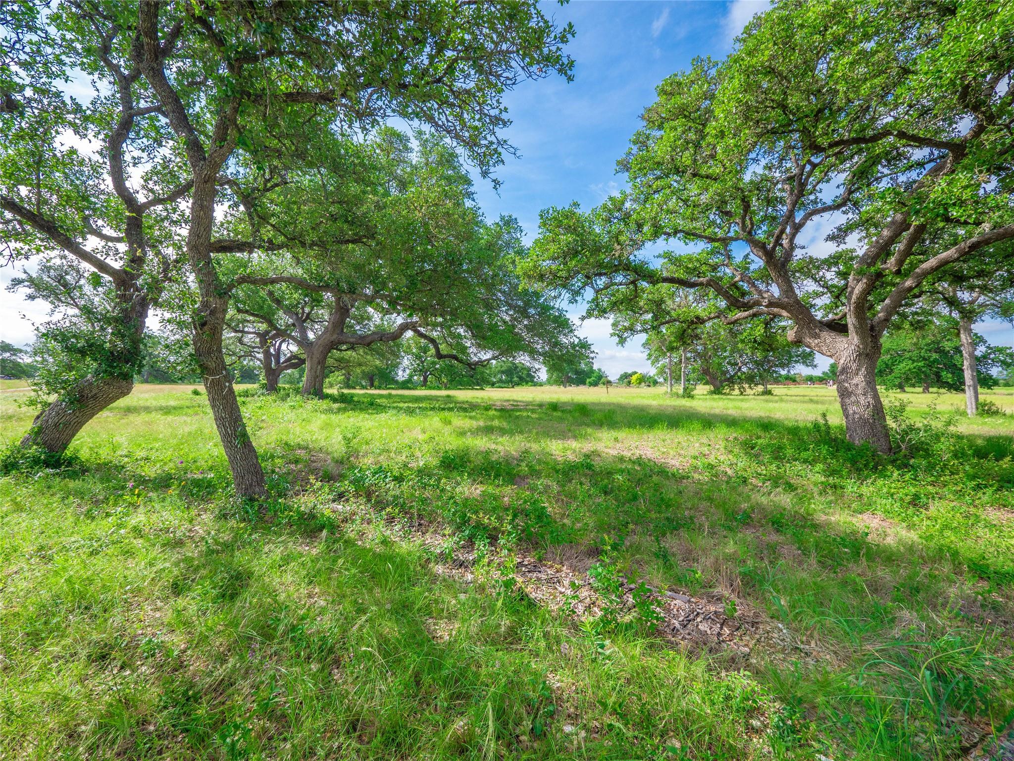202 Mason Ct, Driftwood, TX 78619