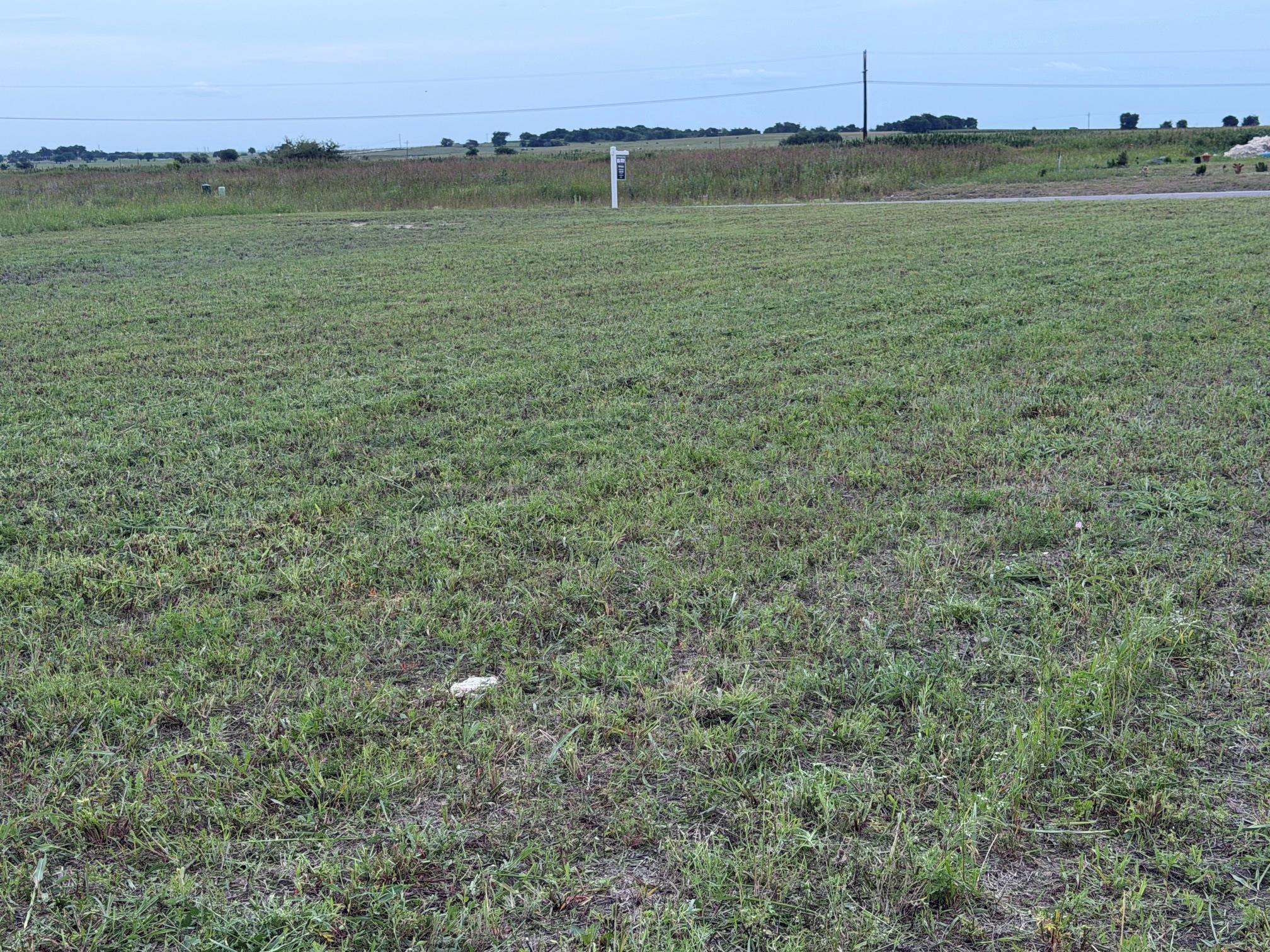 1178 Saltgrass Dr, Salado, TX 76571
